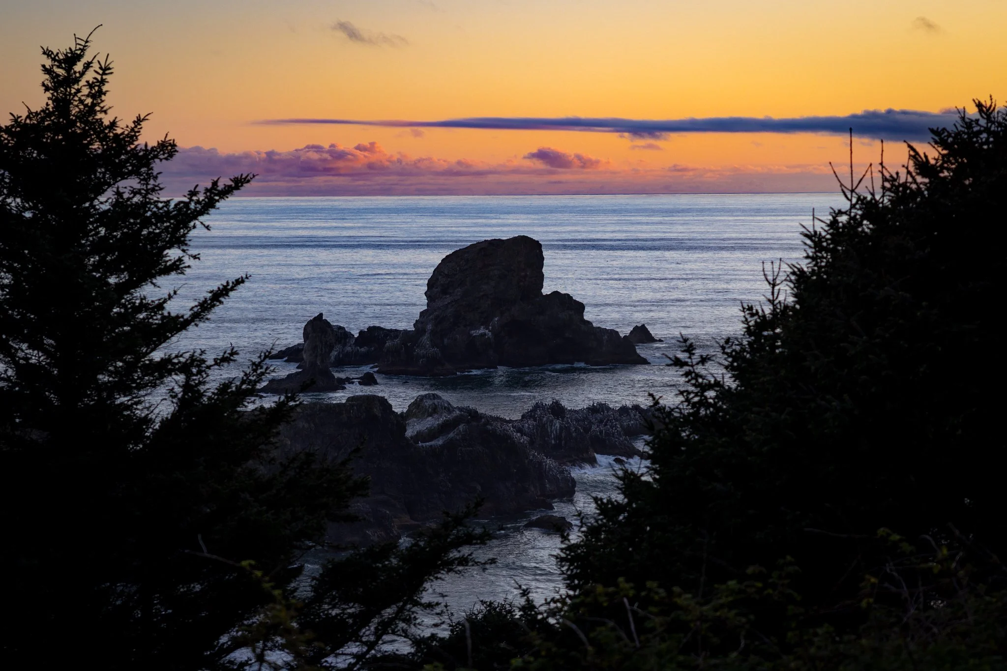  A gorgeous evening exploring Ecola Point in Oregon   