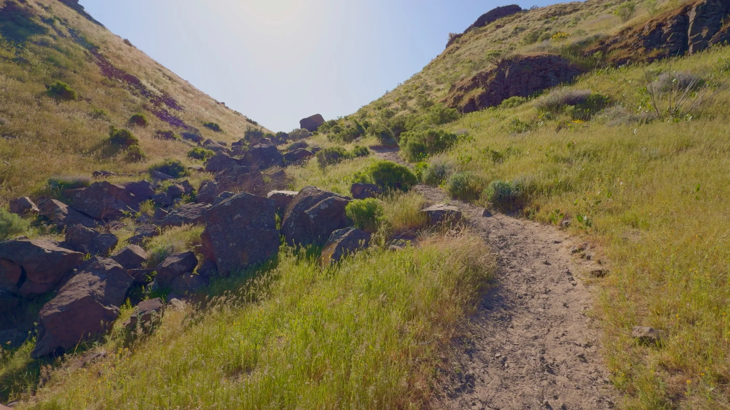 Narrow dirt trail winding uphill through green grass and basalt boulders at the start of the Twin Sisters Rock hike in Washington.