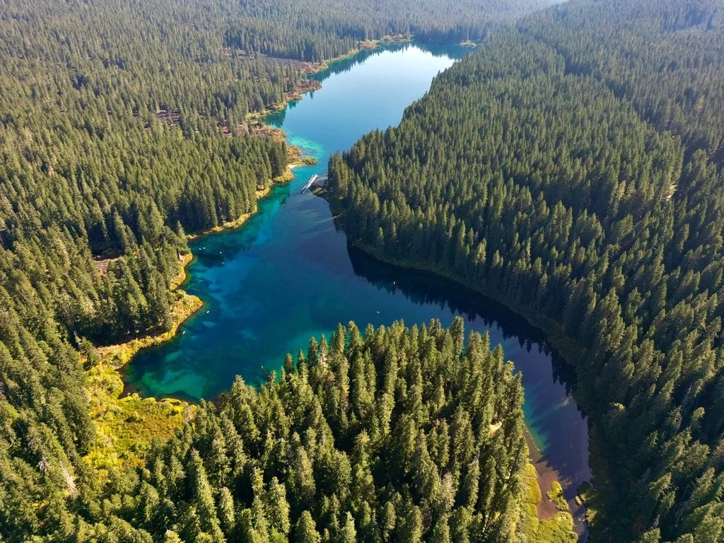 Aerial view of Clear Lake’s deep blue and turquoise water surrounded by forest in Oregon’s Willamette National Forest