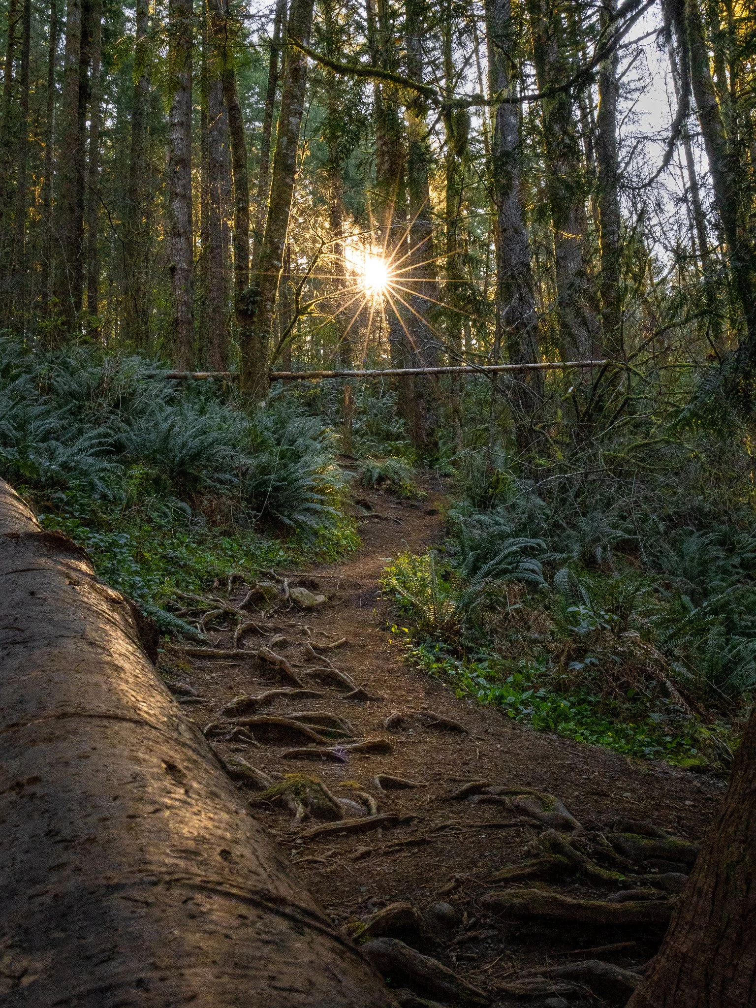  Morning Exploring Around Moulton Bridge in Washington   