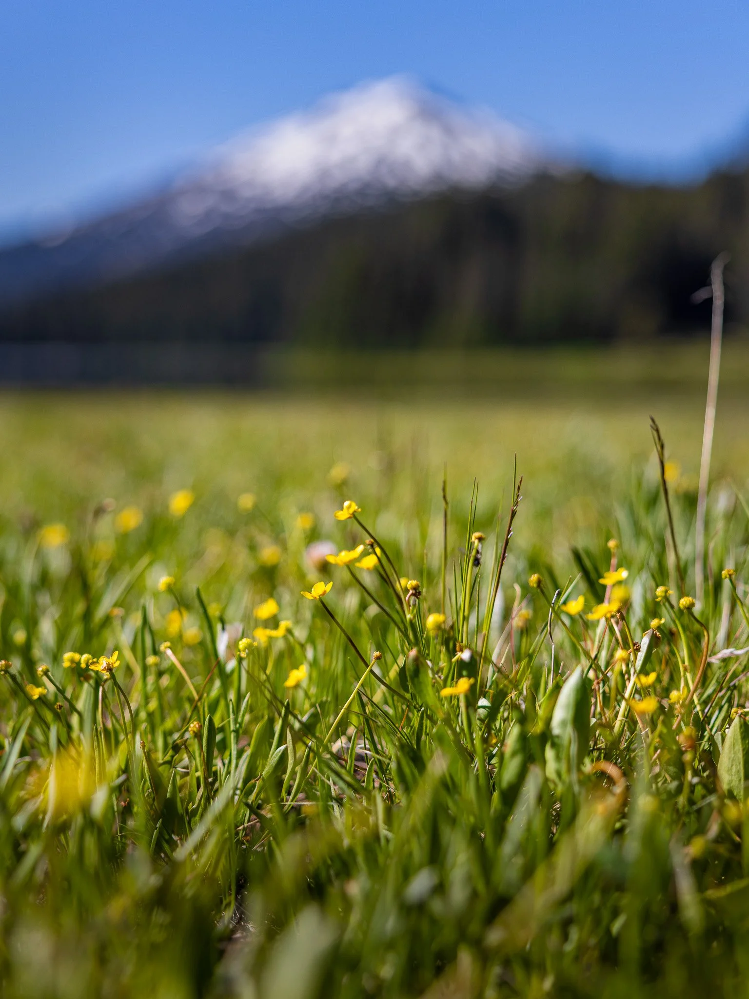  A beautiful day at Todd Lake in Oregon   