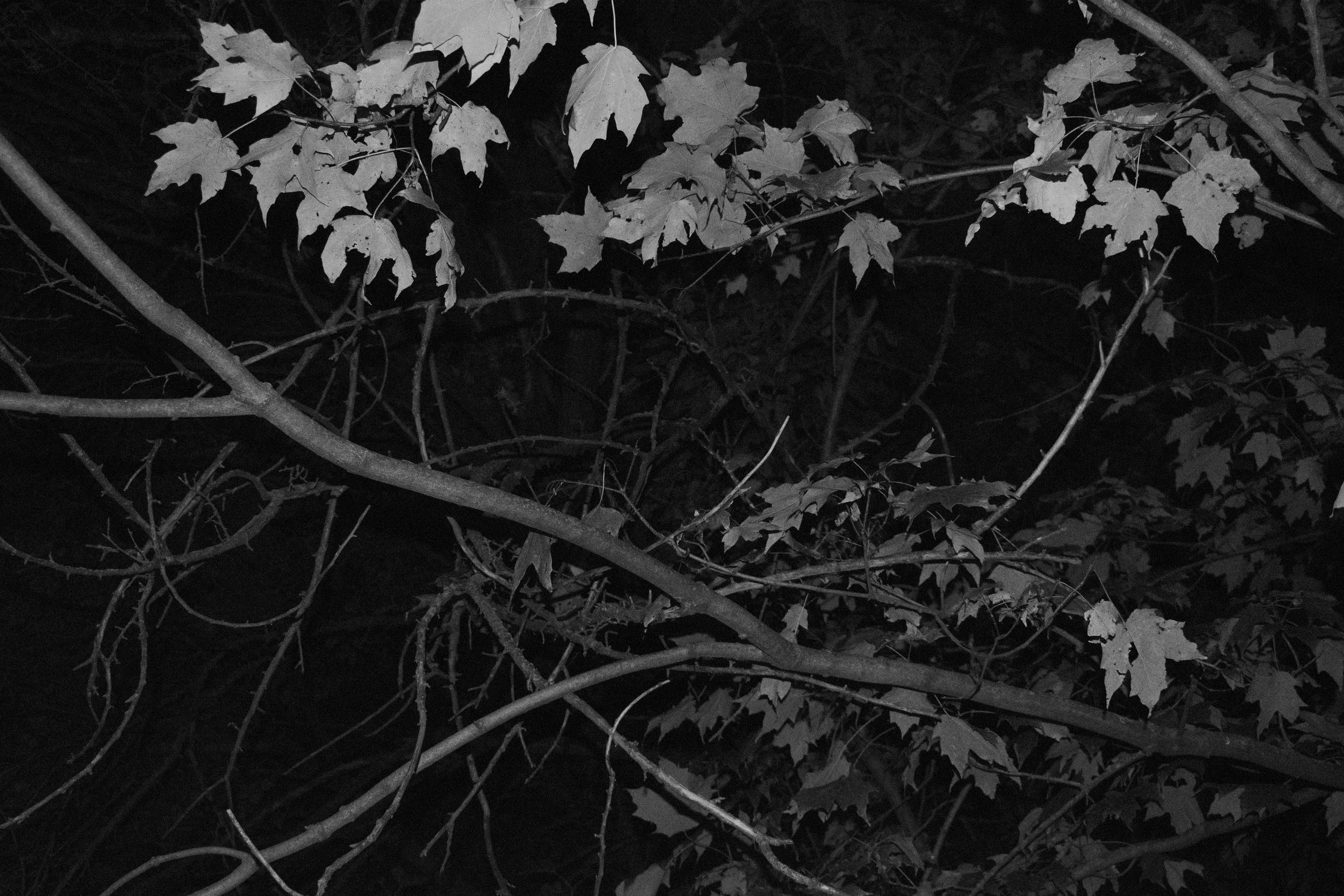 SHOOT 2-3.jpg