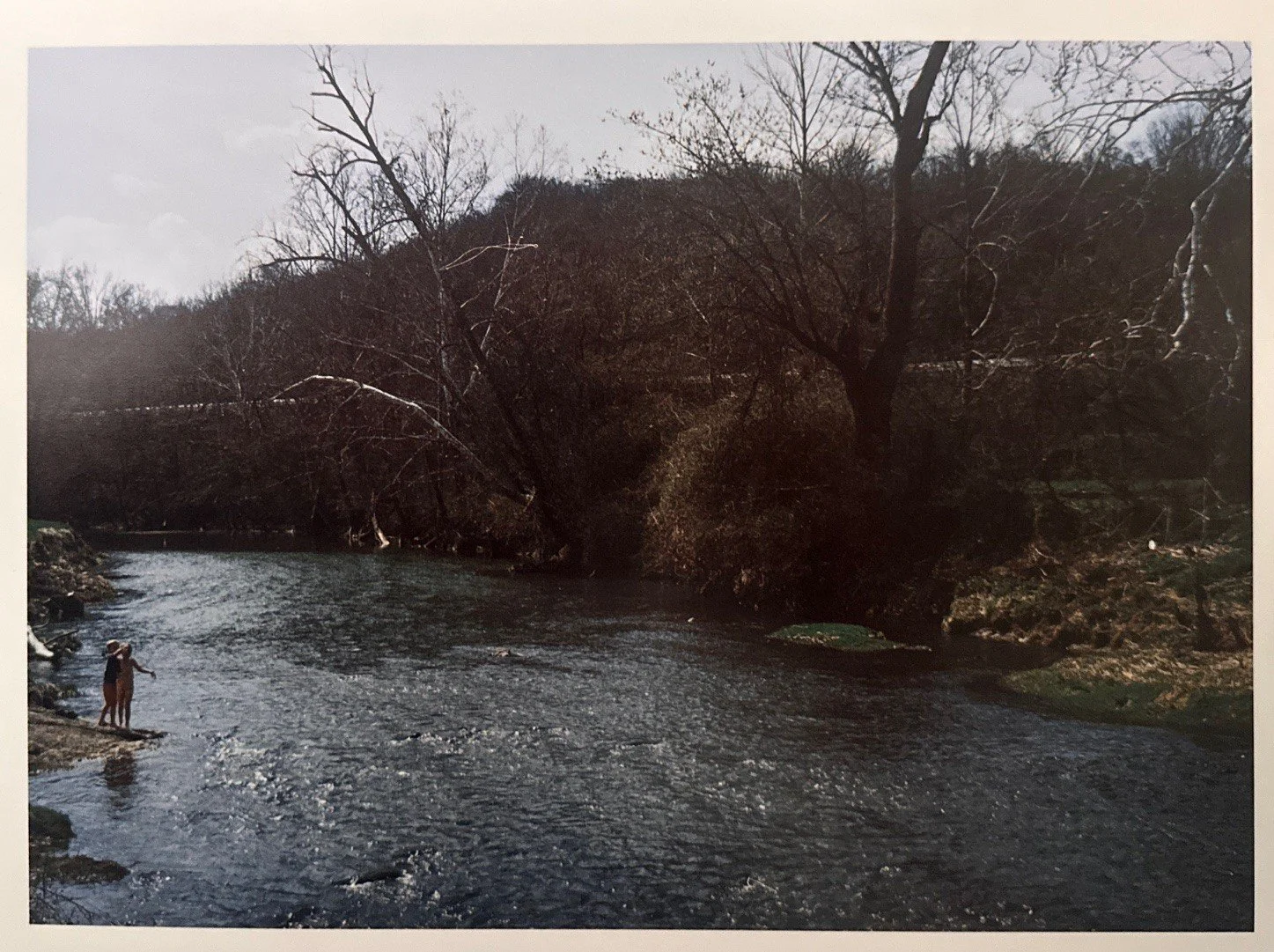 The Creek 1