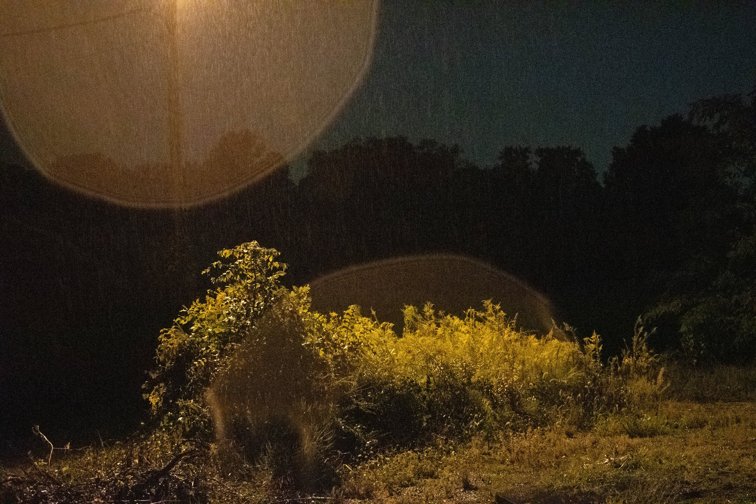 Nature's Night Rain