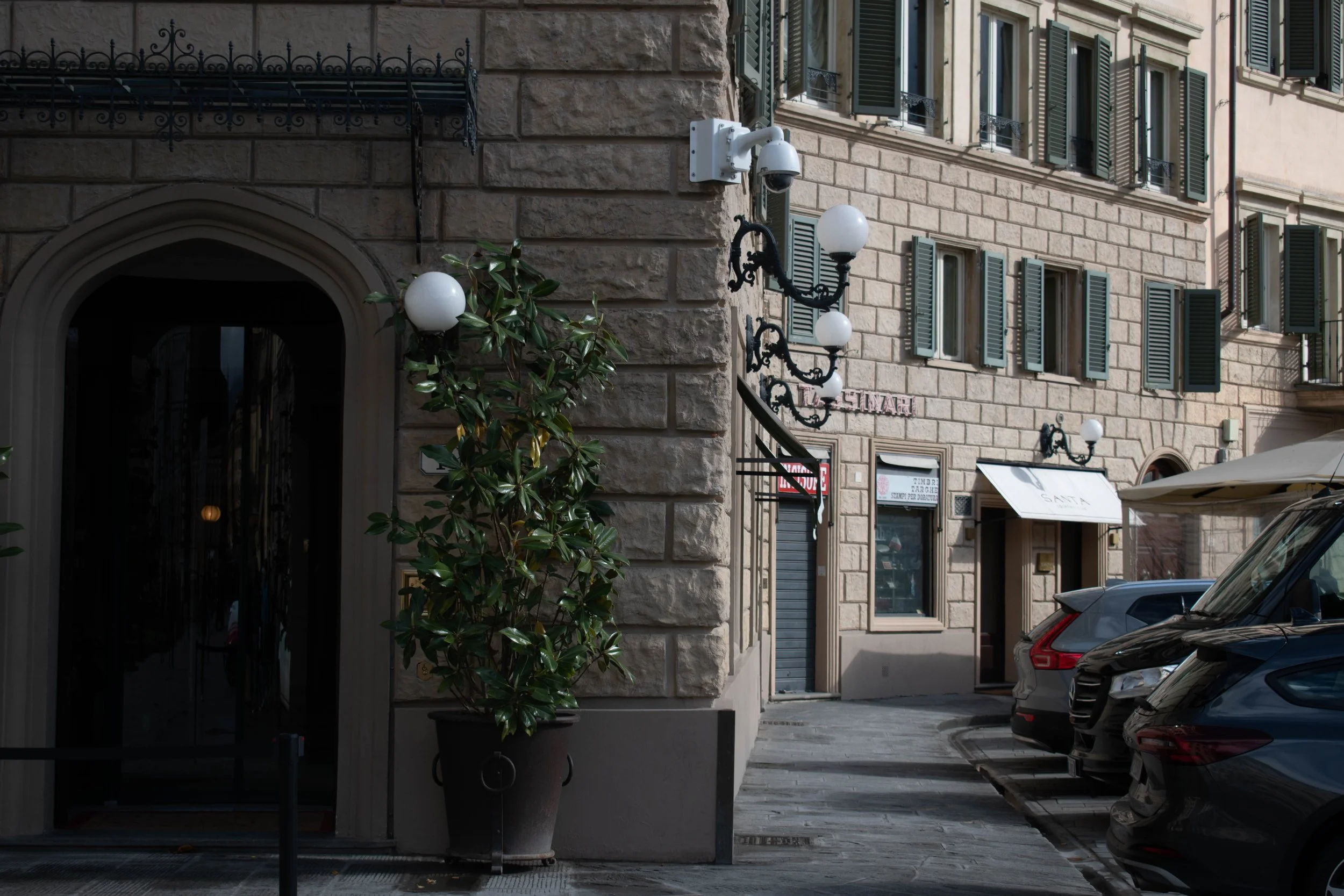 Corner Plant 