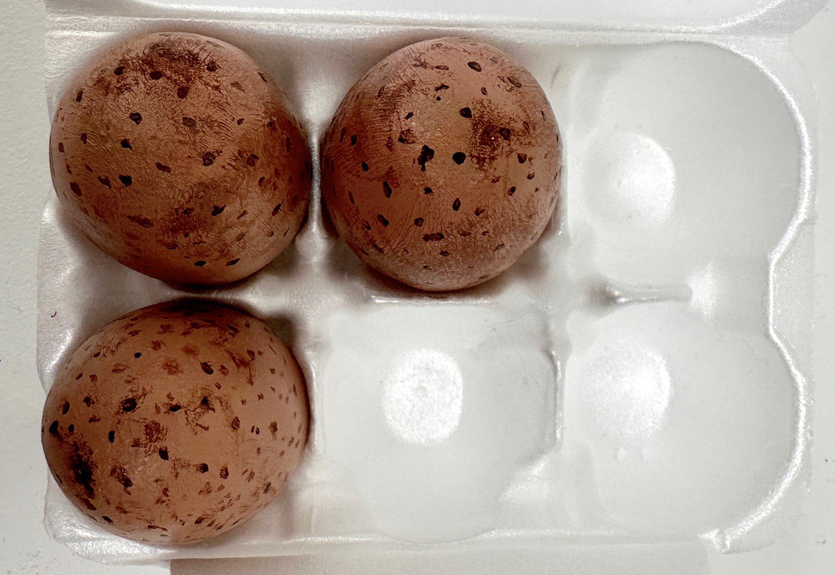 egg doc detail 2.jpg