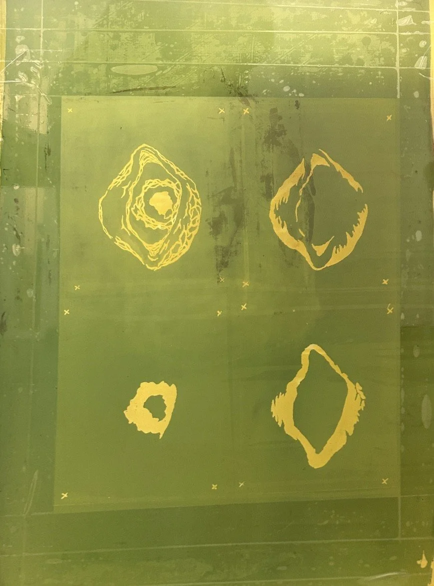 Exposed Emulsion Screen