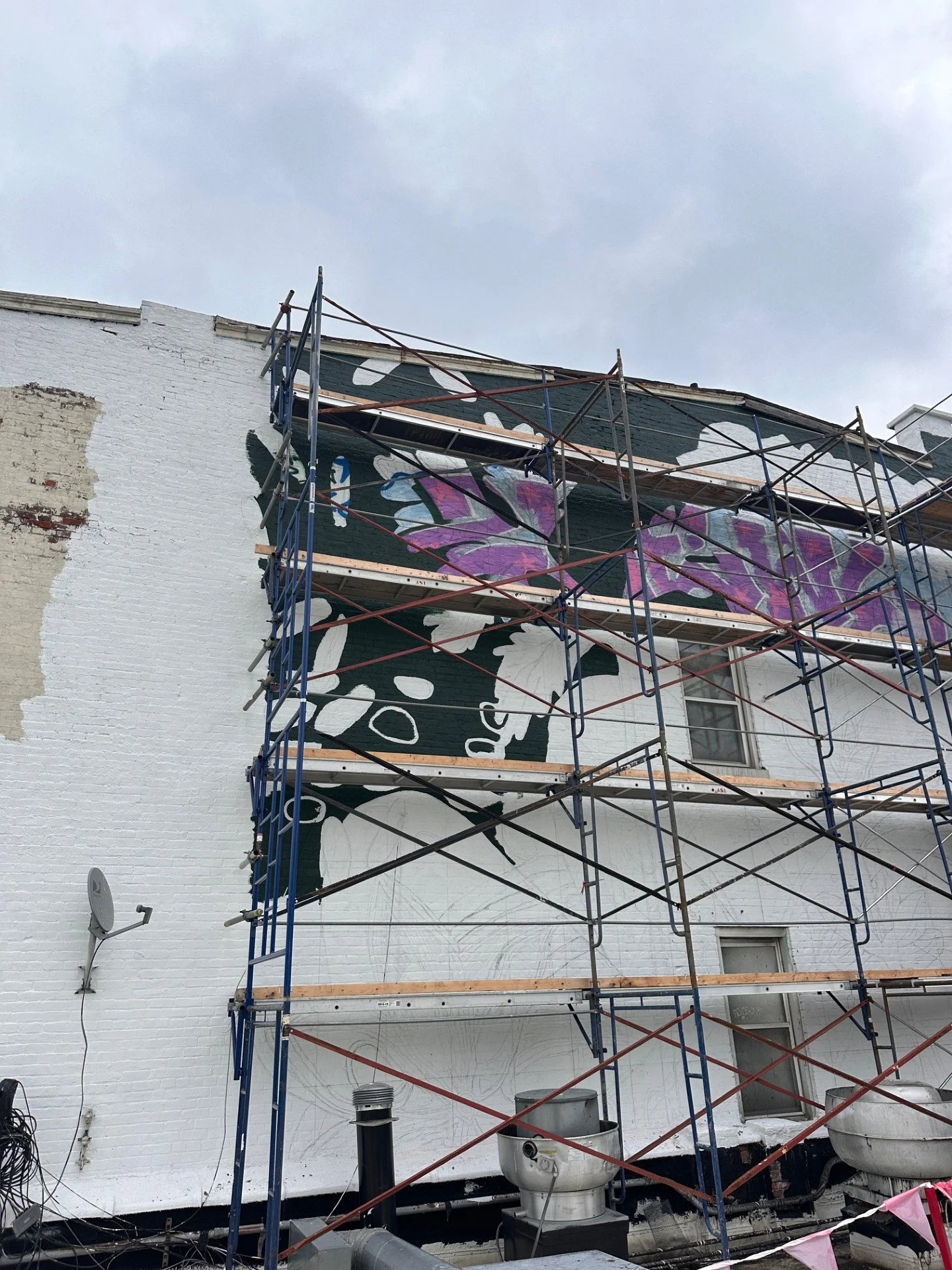 Painting Outline 