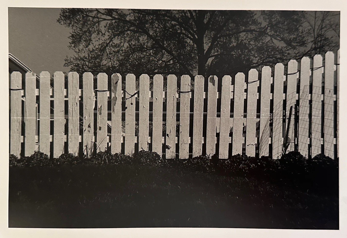 White Picket Fence