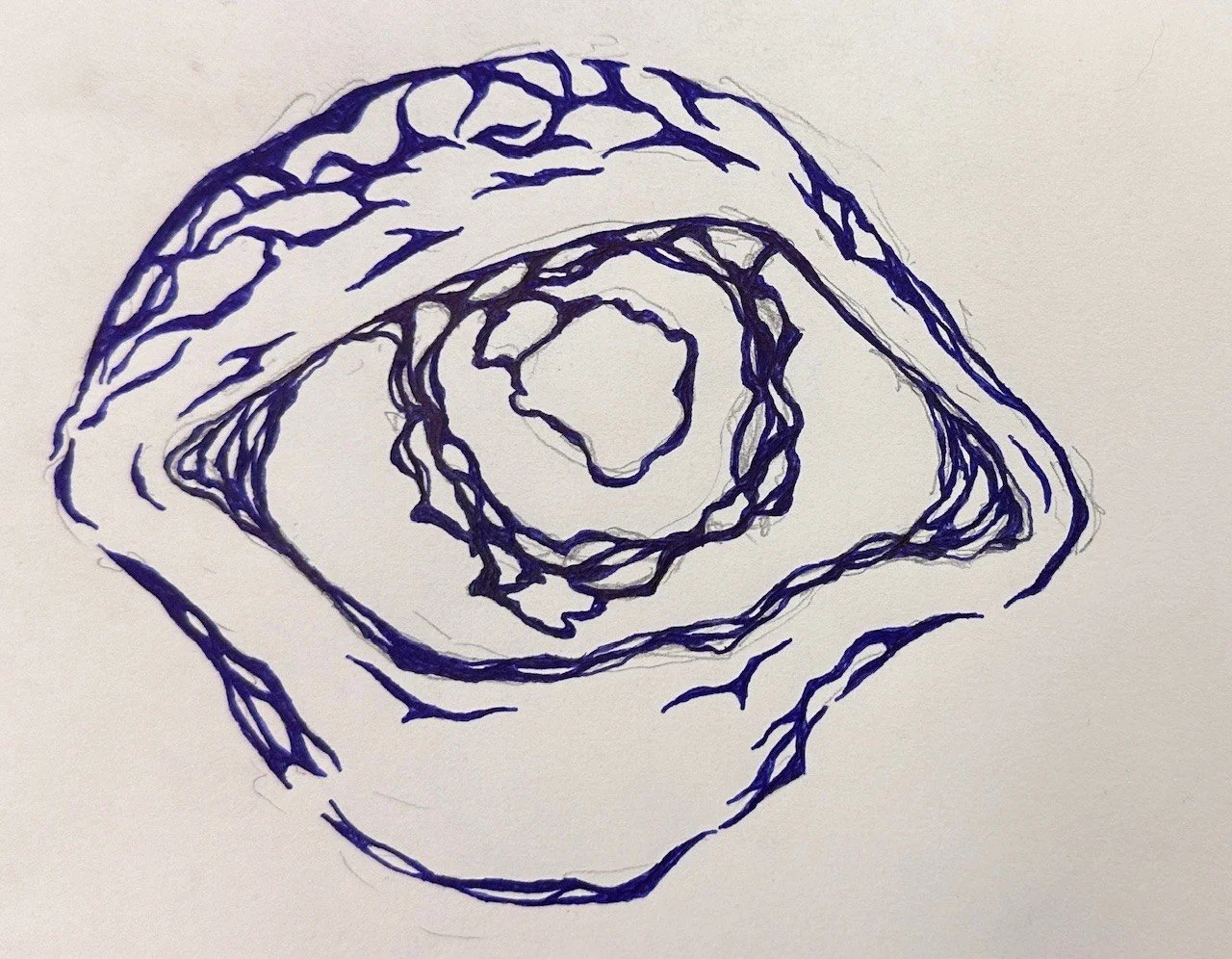 Sketch