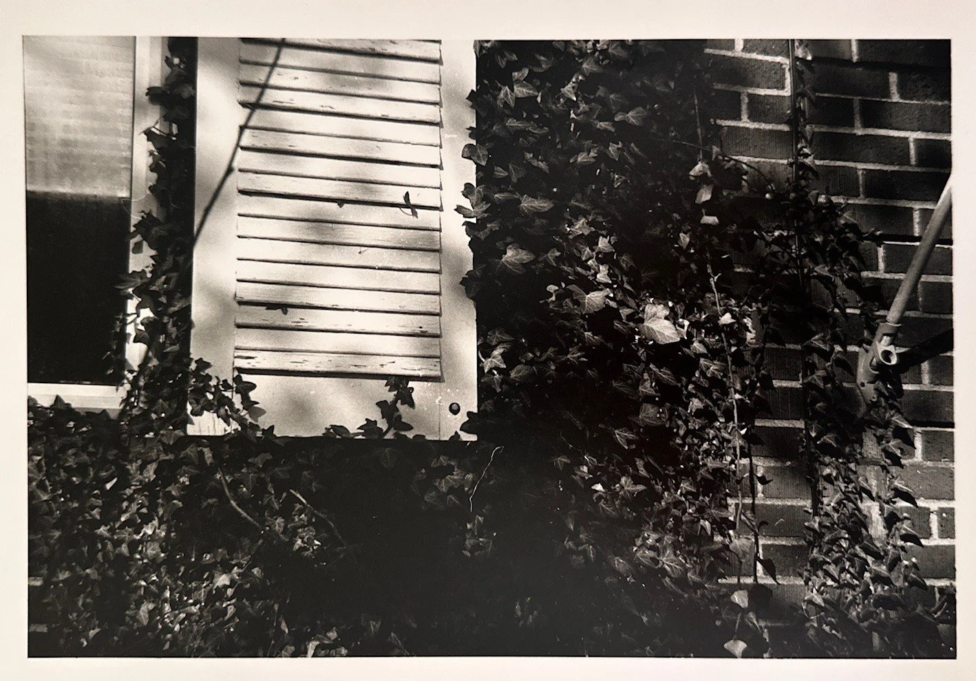 Shutter Speckled Light