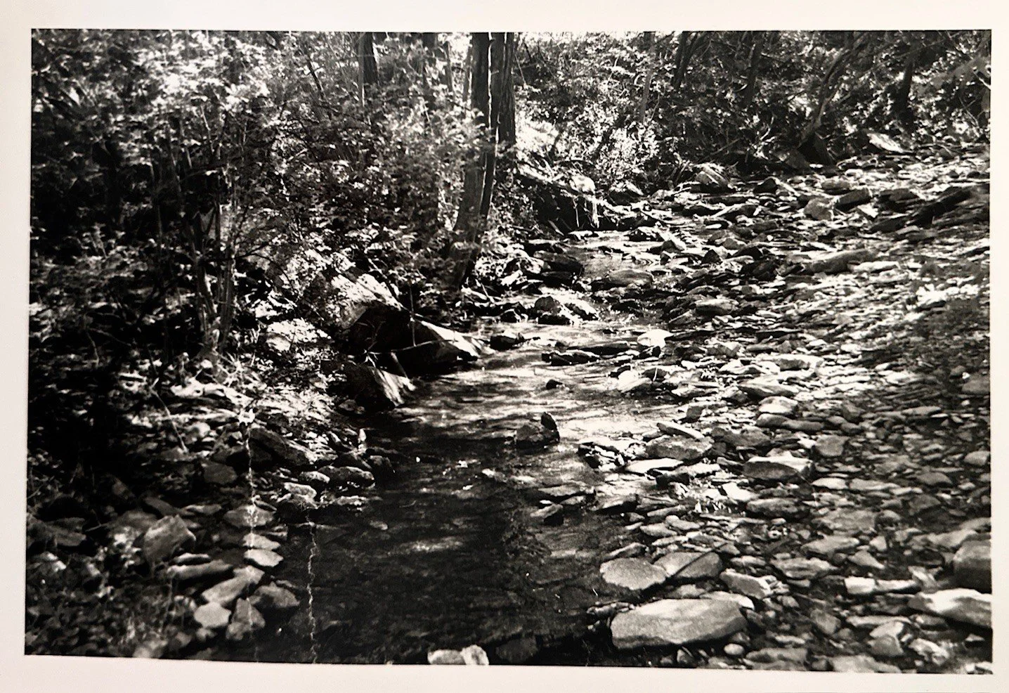 The Creek