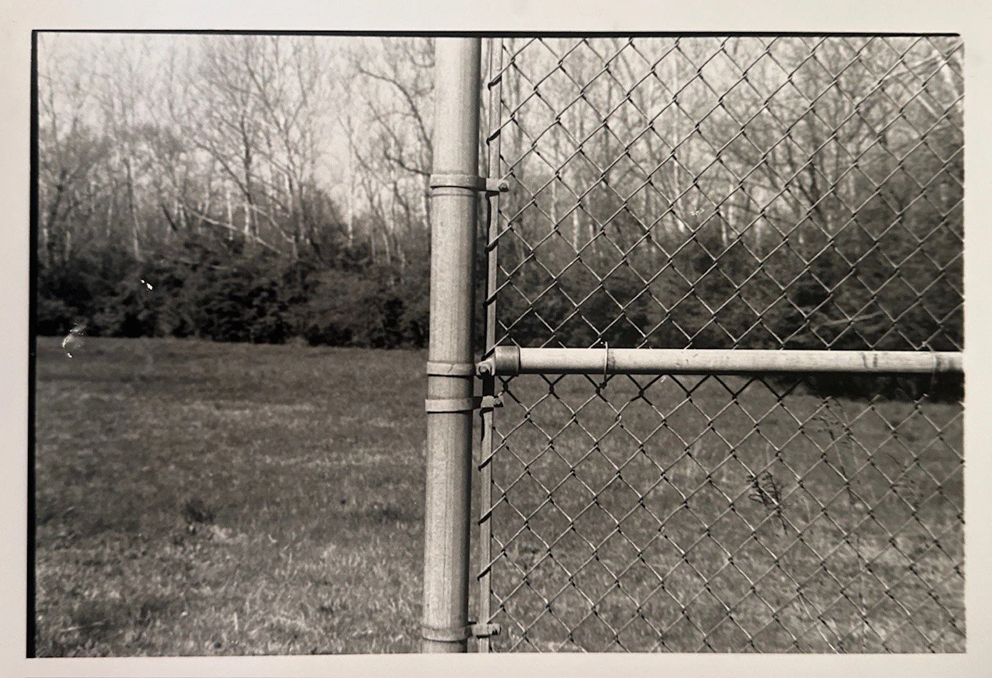 The Field