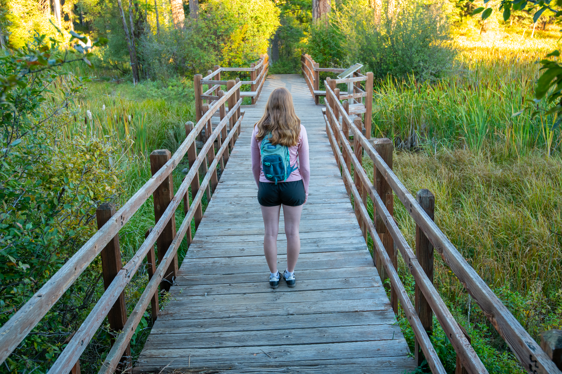 Idaho’s Kids Are Struggling — We Need to Pay Attention