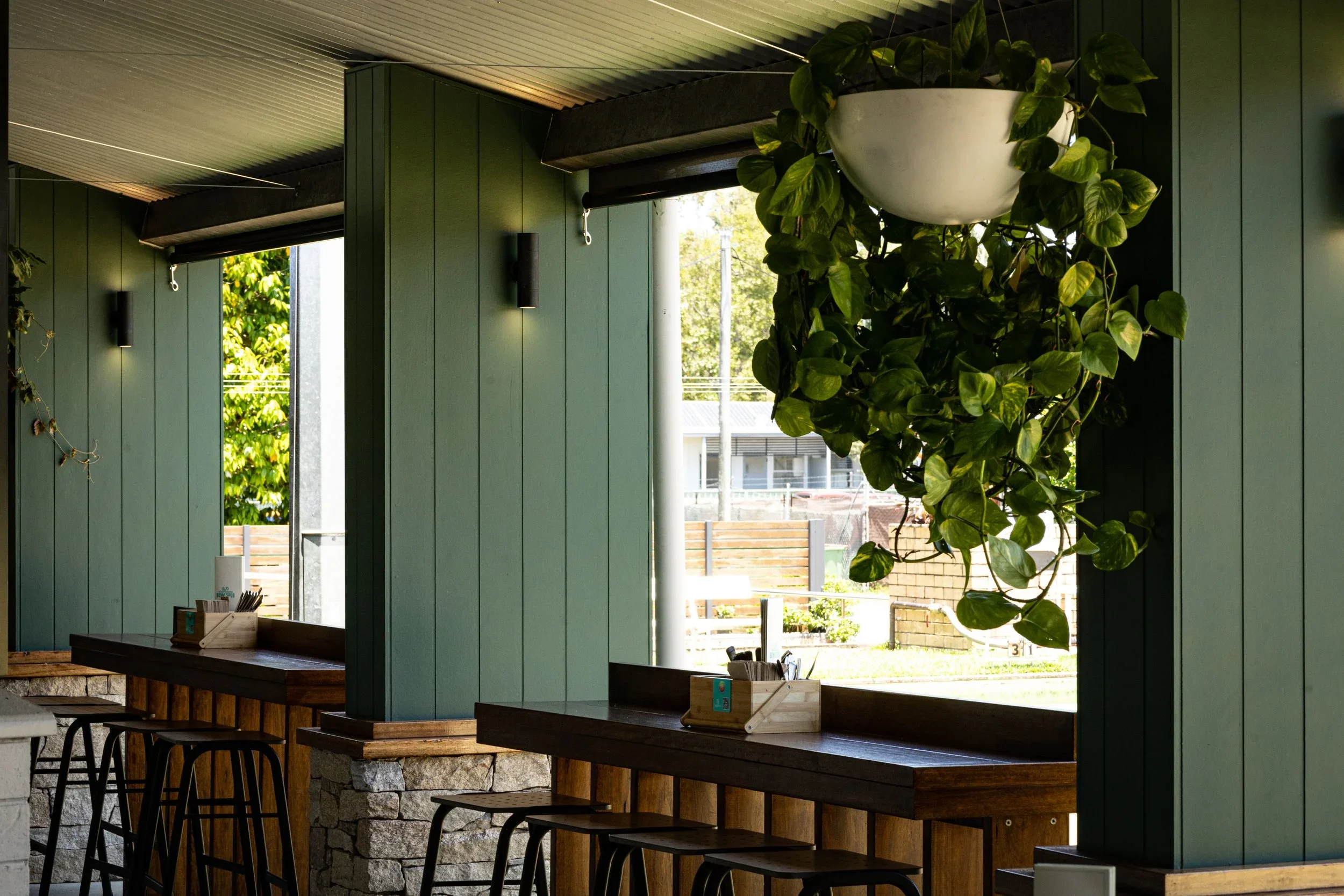 Interior of a modern cafe with green wooden wall panels, a large hanging planter with green leafy plant, and a window showing outdoor seating and trees.
