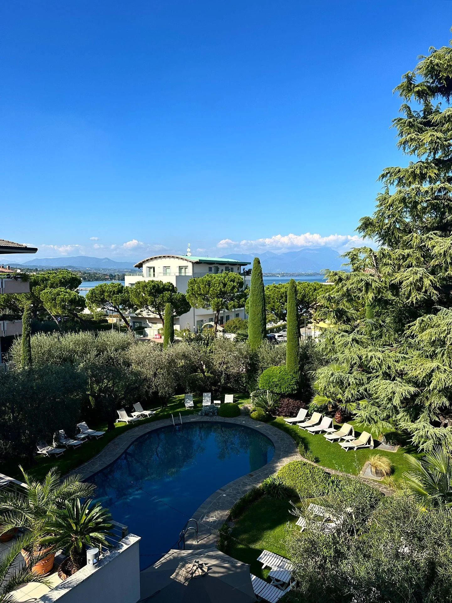 Postcards from Lugana 🇮🇹
@consorziolugana 

#italy #winetravel #lugana