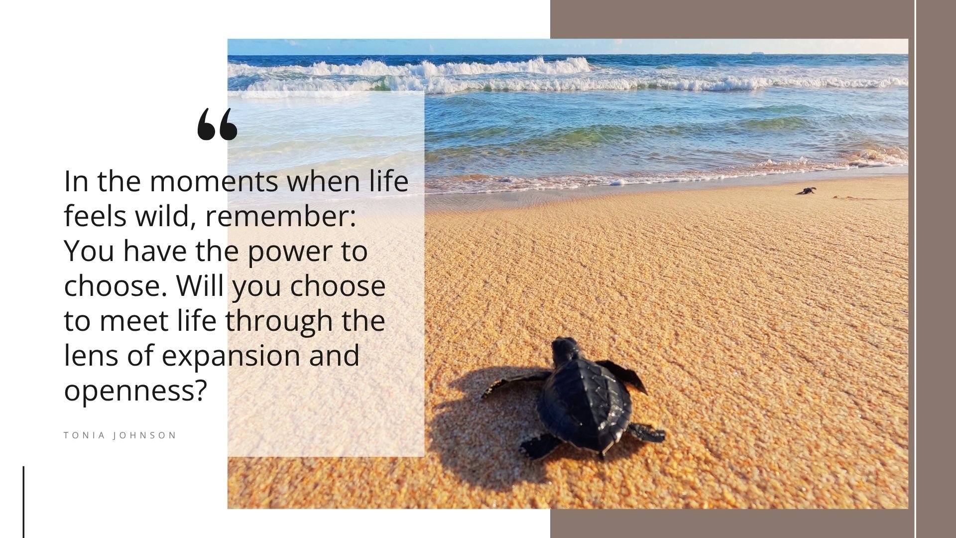 How Breath Becomes Your Anchor in a World of Chaos