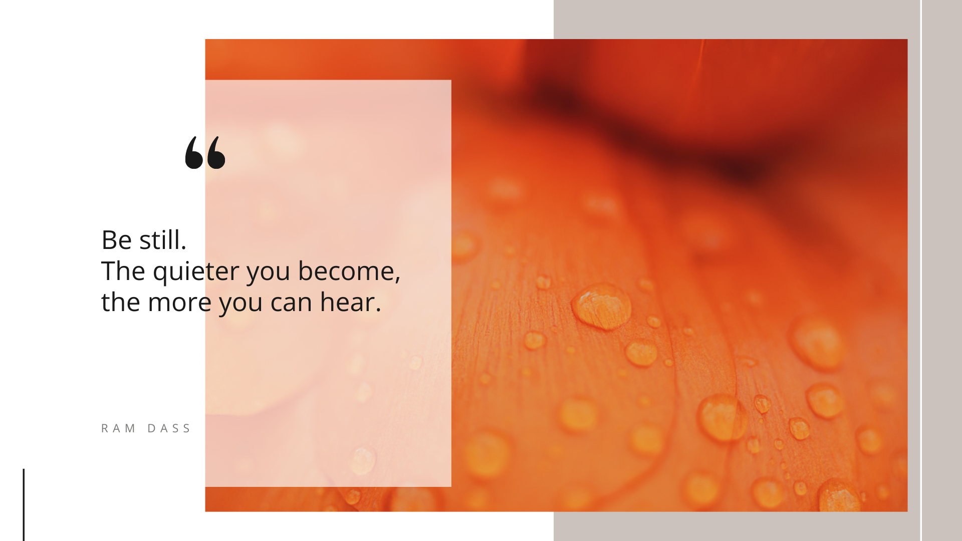 Because Stillness Speaks