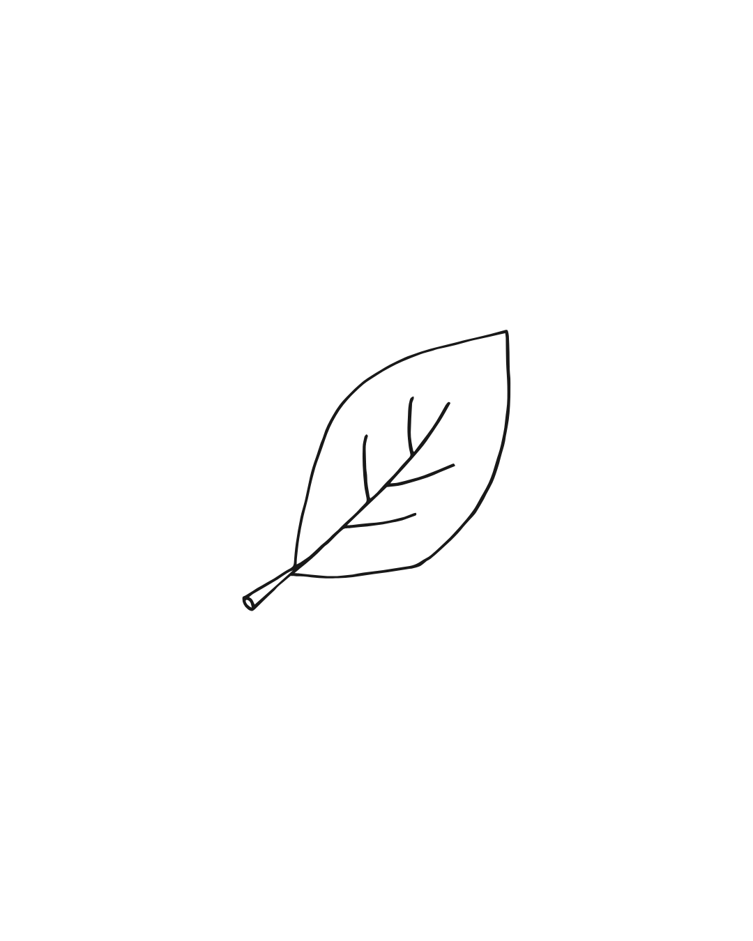 Simple line drawing of a single leaf with visible veins.