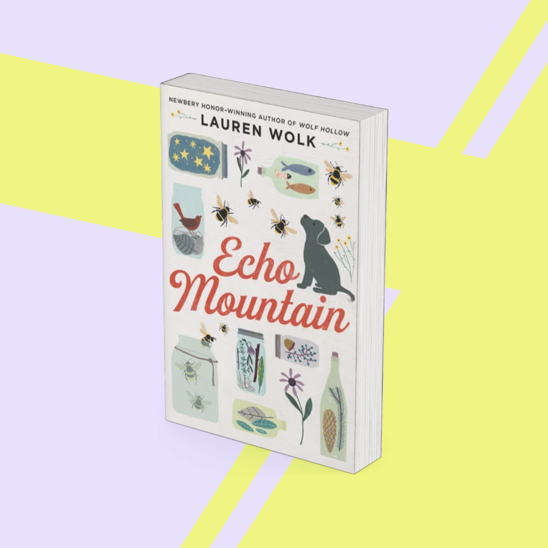Echo Mountain - Novel Study