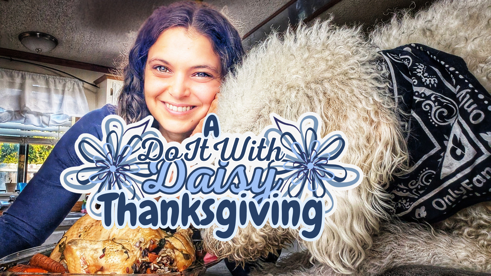🦃 Stuffed with Love: A Dog-Safe Turkey Recipe for the Holidays