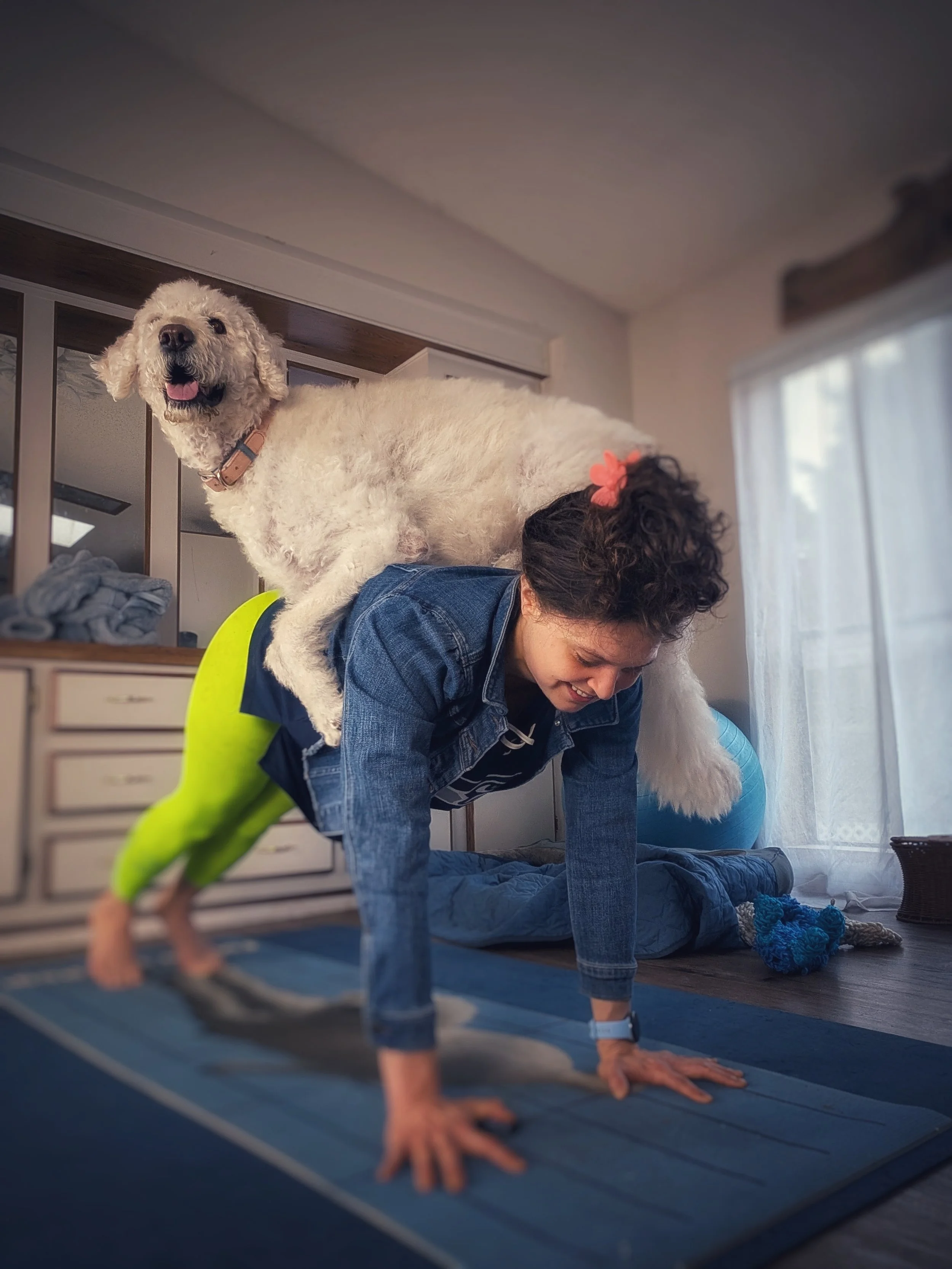 Plank AKA Extended Four Limb Staff Posture 