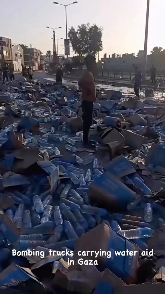 Video by Majdi Fathi