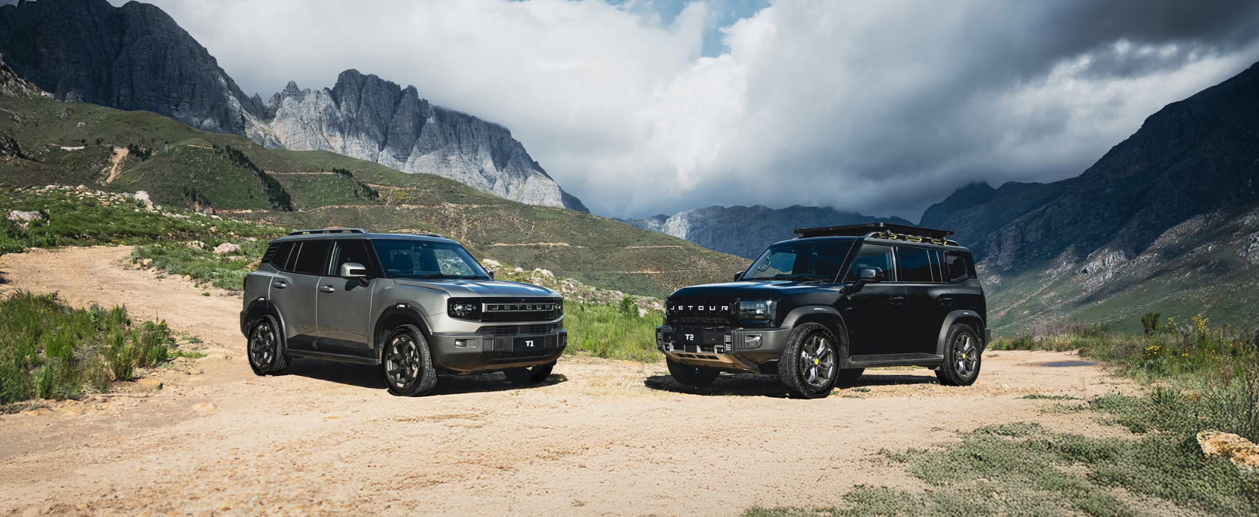 The Bold T1 &amp; T2