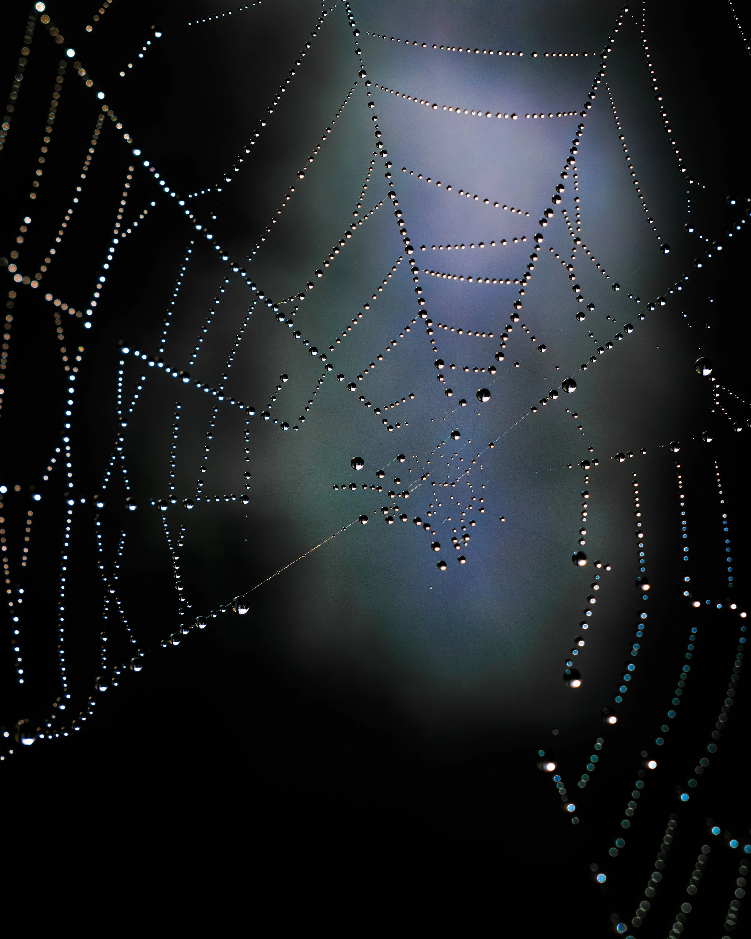 CR-10.jpg