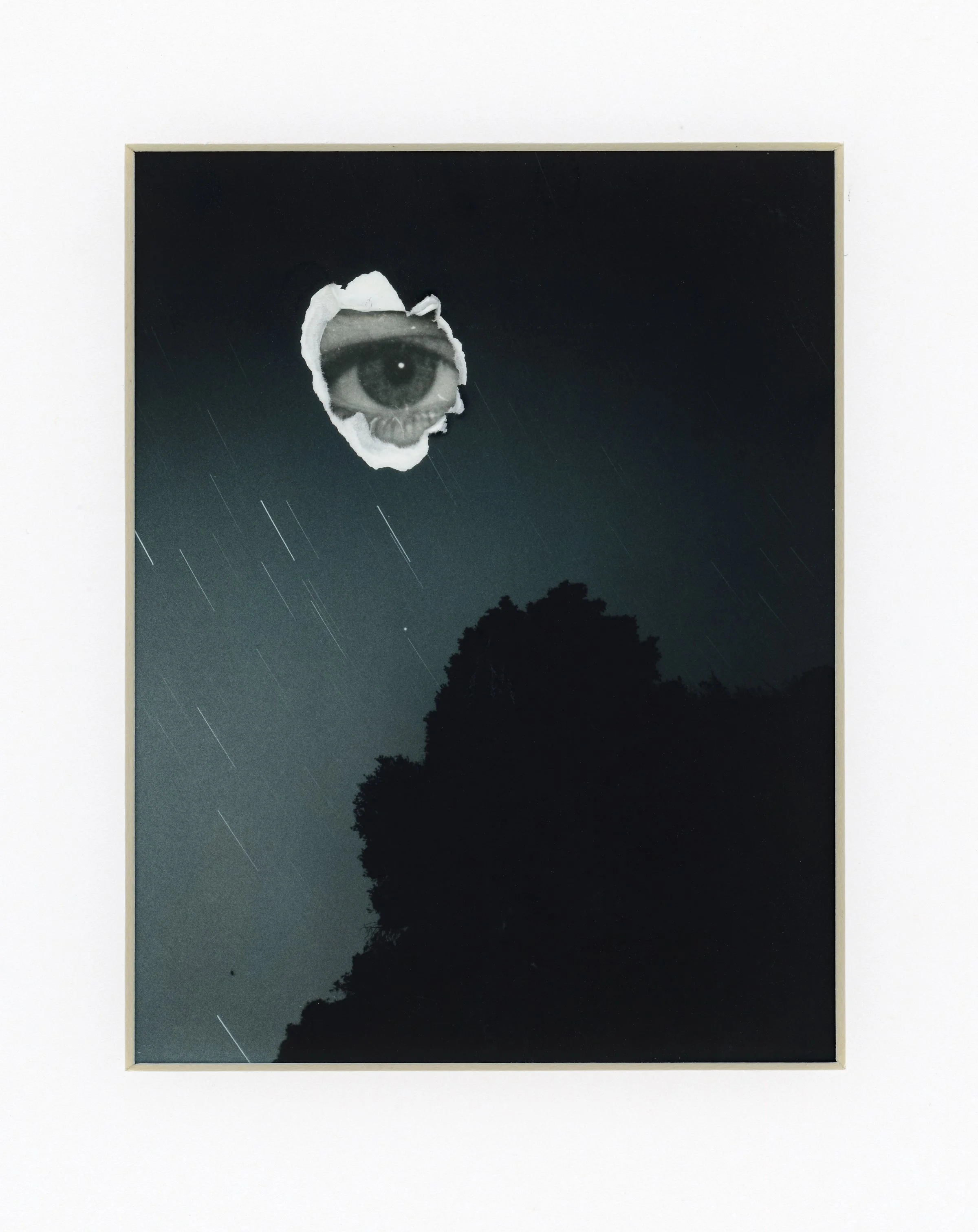 4x5 Silver Gelatin Print; Ilford Fiber Based Matte; Iron Blue Toner