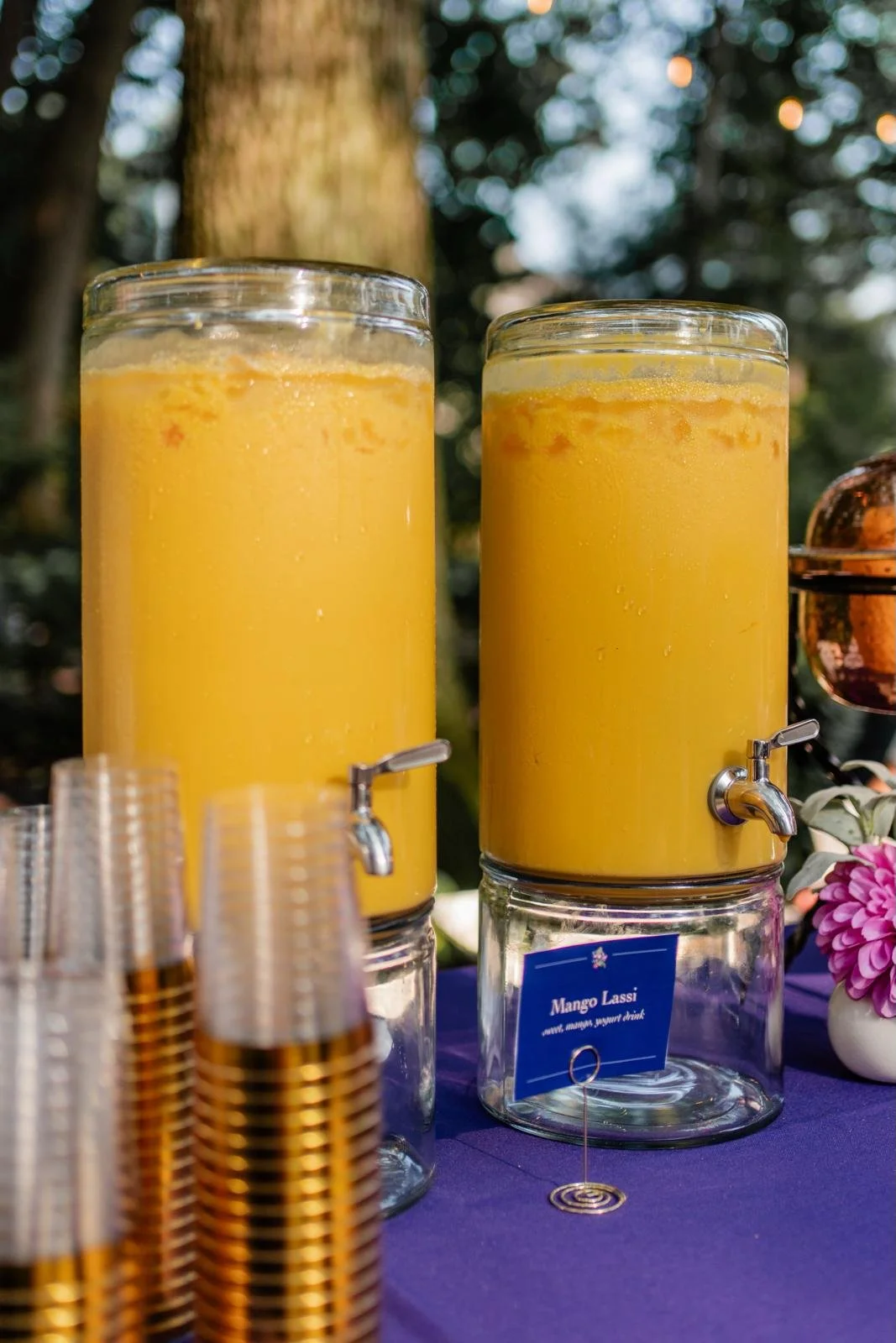 Refreshment station Mangolasses.jpg