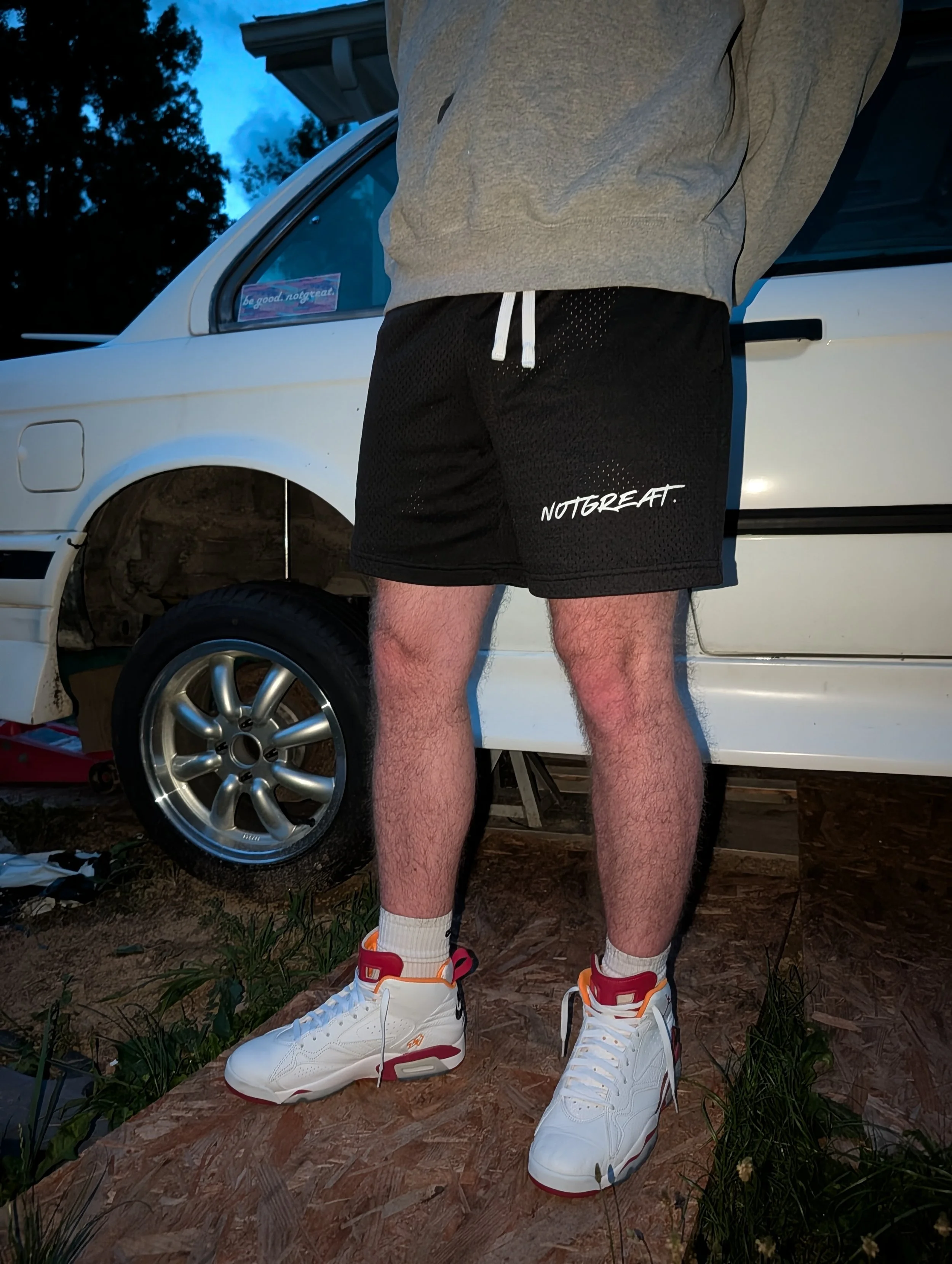 Mesh Gym Shorts
