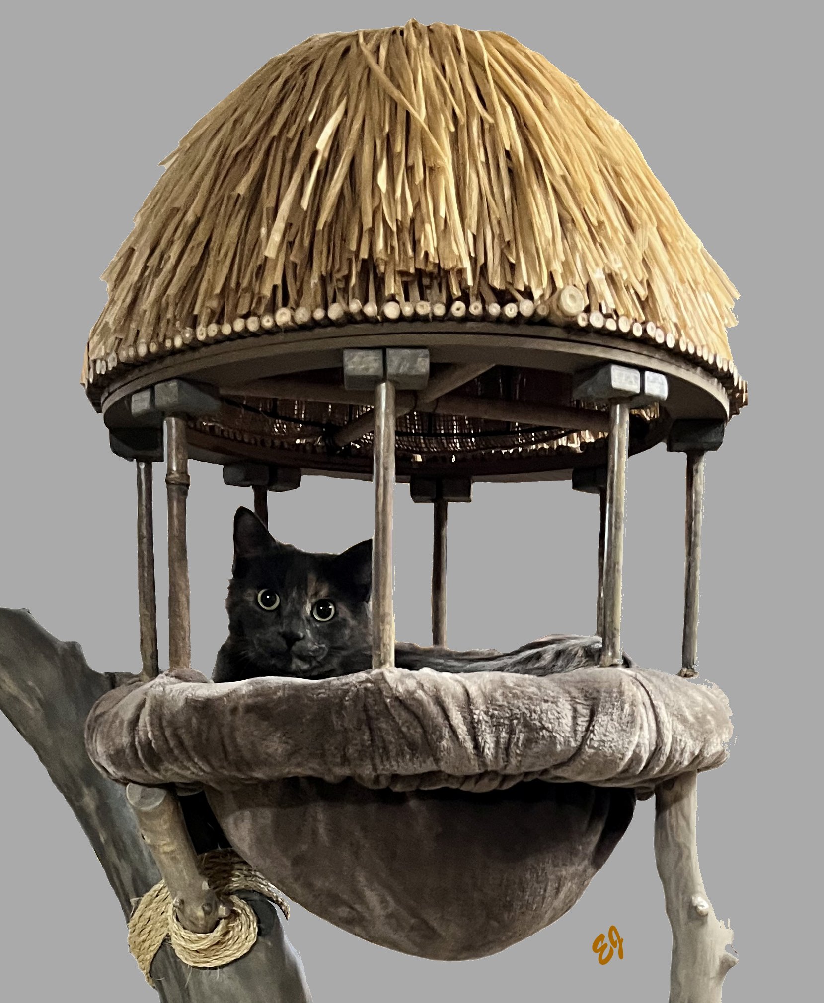 Ewok Percy Sling Large Format EJ.jpg