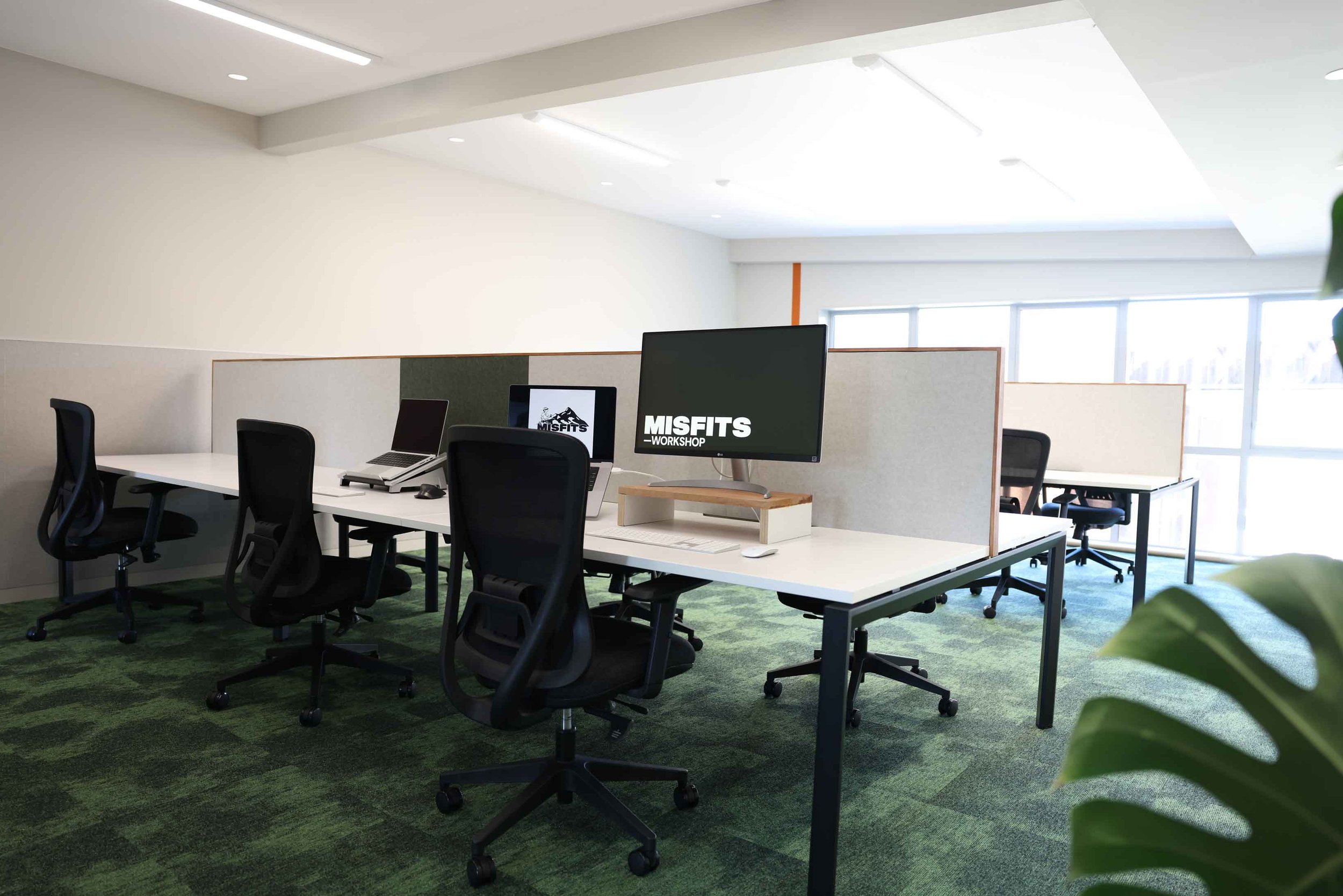 Modern office space with workstations and computers on green carpet