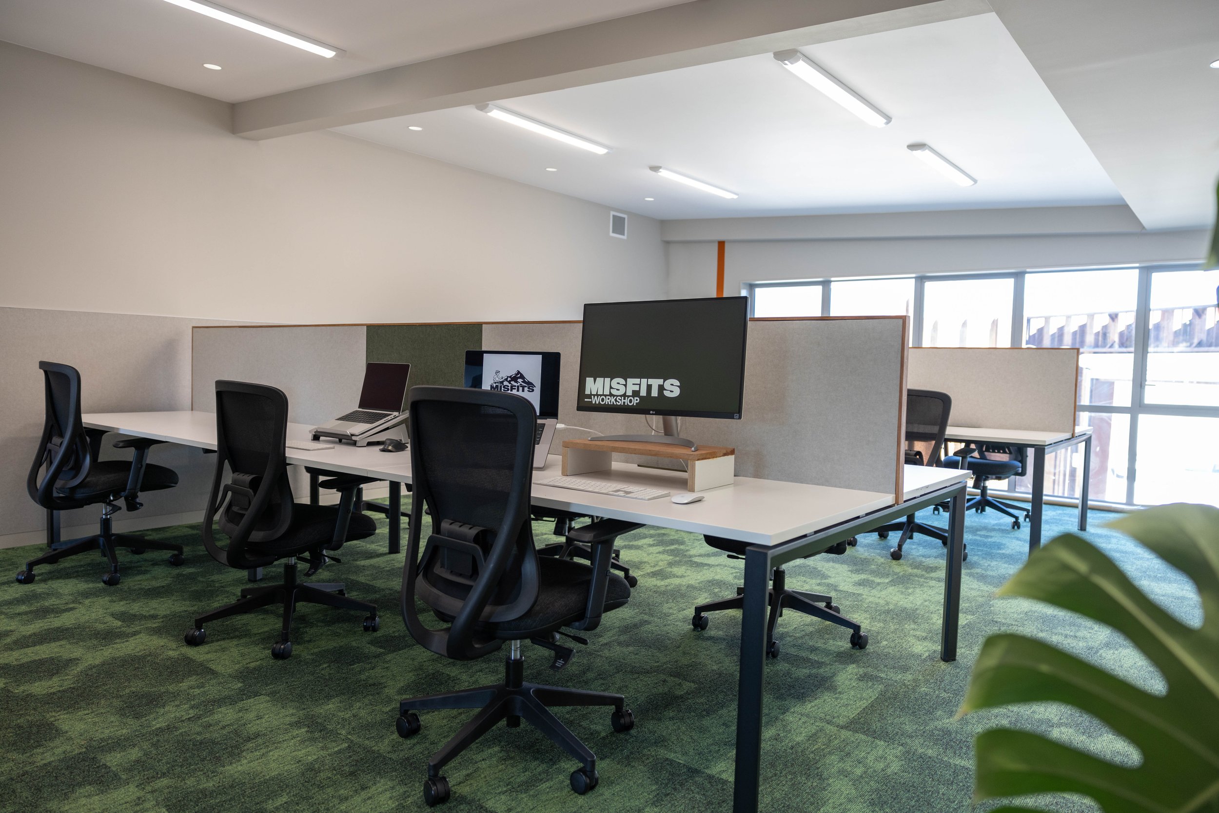 Misfits Interior - Take 1-4622a.jpg