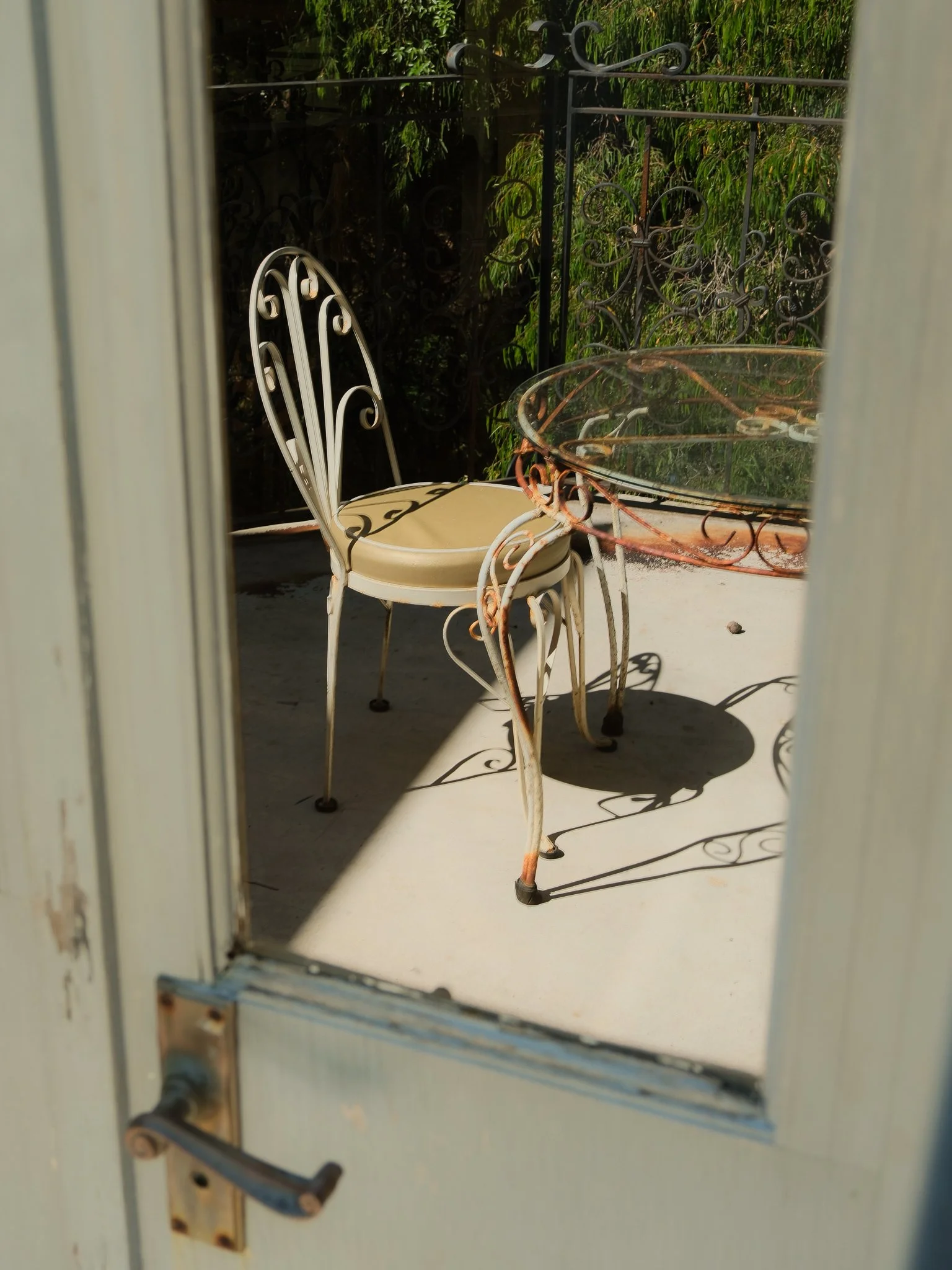 DSCF0350.jpg