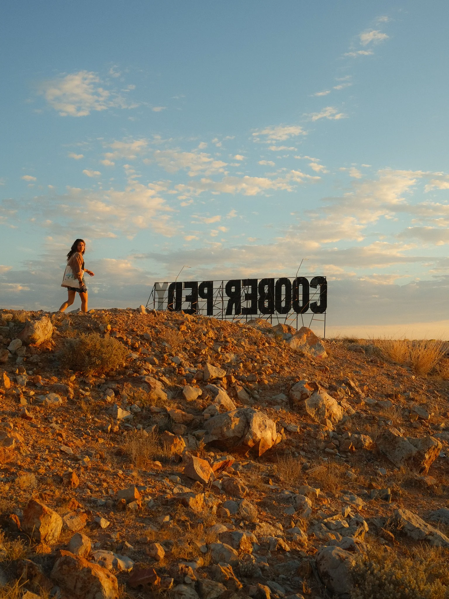 DSCF3866.jpg