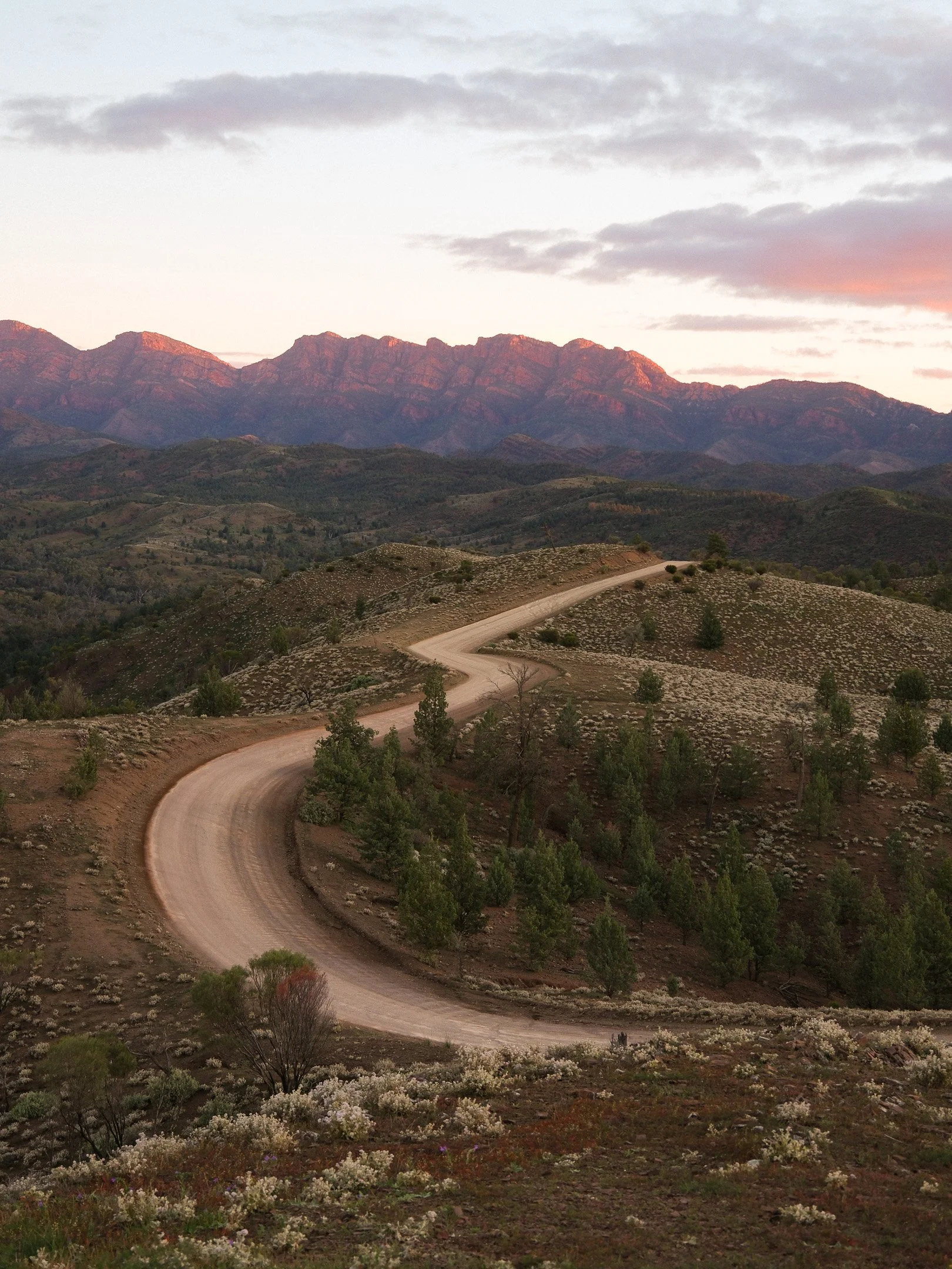Finding My Way Through the Flinders Ranges
