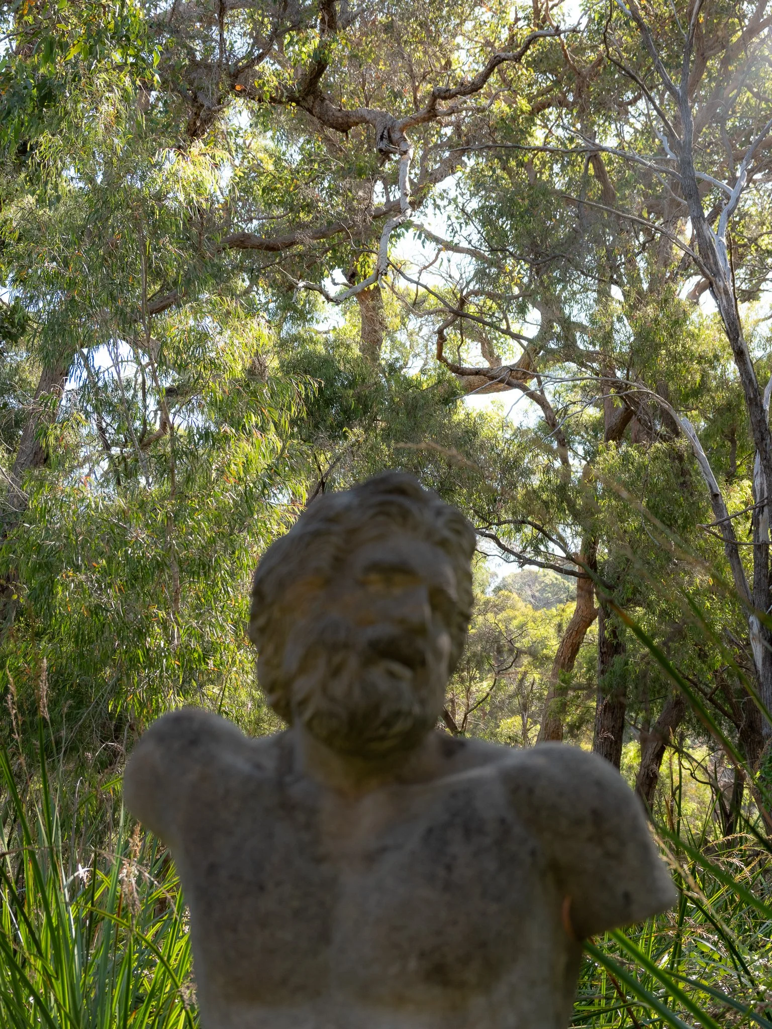DSCF0194.jpg