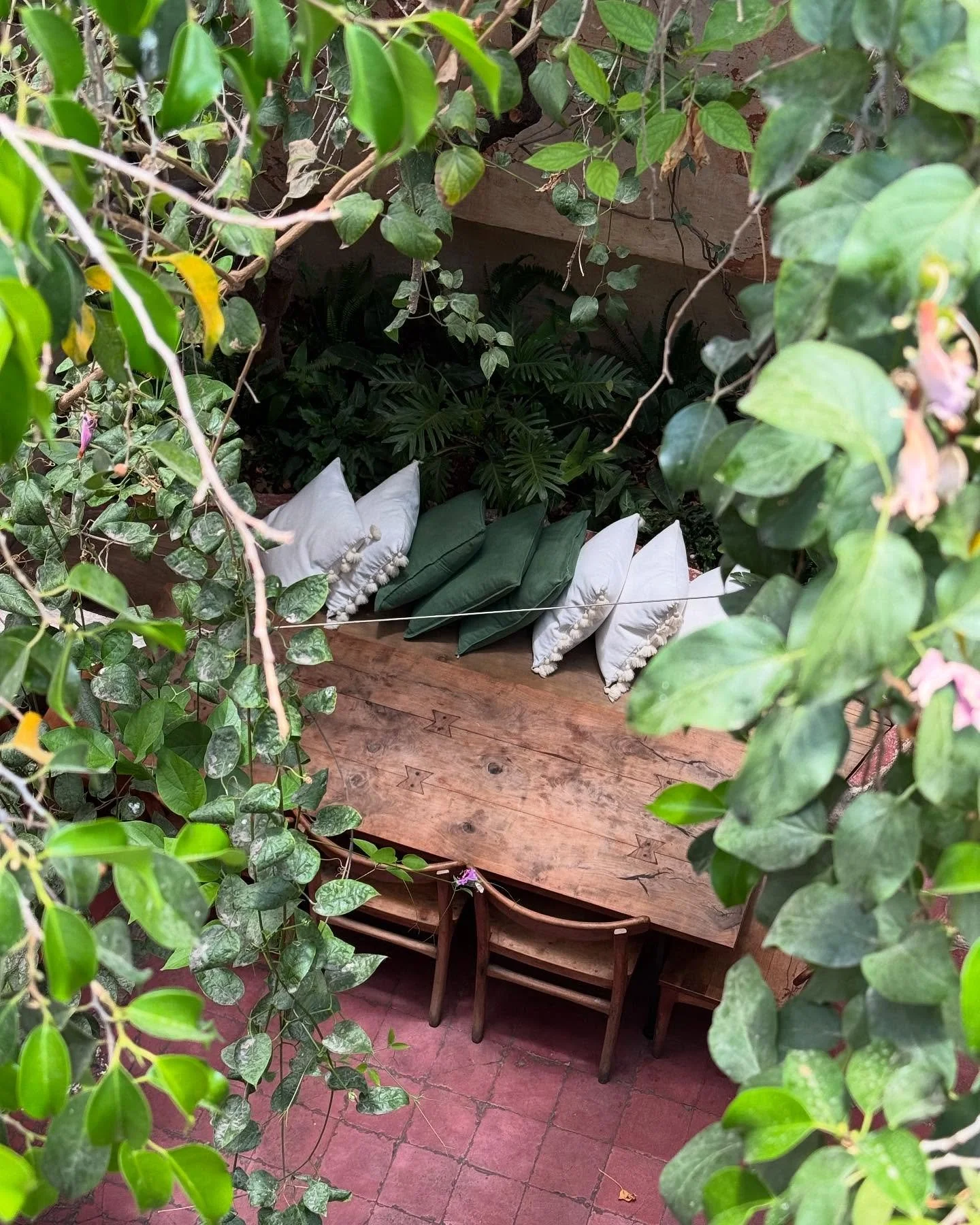 🌿 Bajo los &aacute;rboles, la pizza sabe mejor. 🌿

Las mesas al aire libre en Bennu ofrecen una experiencia &uacute;nica: frescura, tranquilidad y buena comida. Un espacio acogedor donde el aire de San Miguel de Allende y la sombra de los &aacute;r