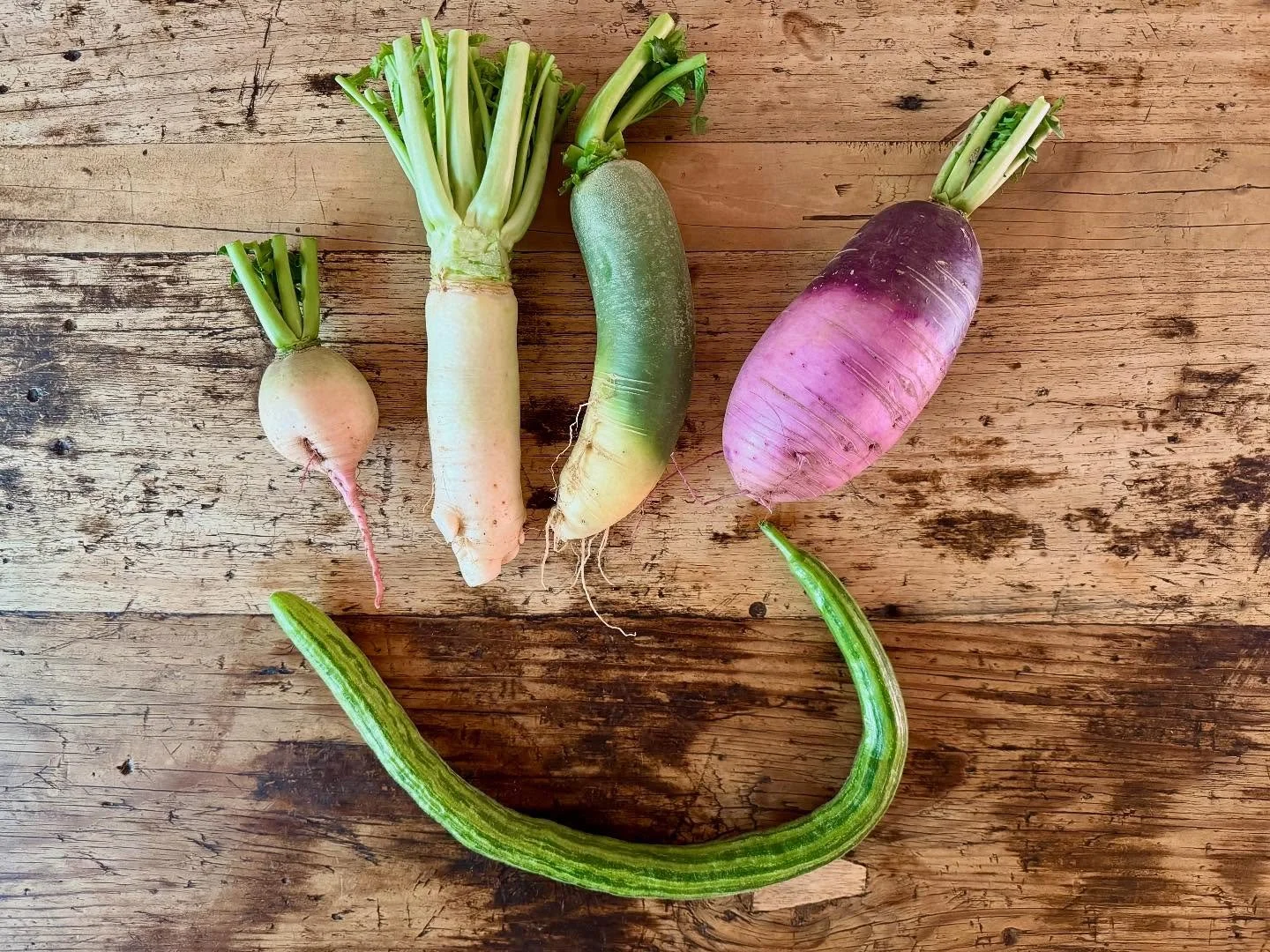 Nuestros productos nos hacen sonre&iacute;r.

#vegetal #local #vegetableforward #freshisbest