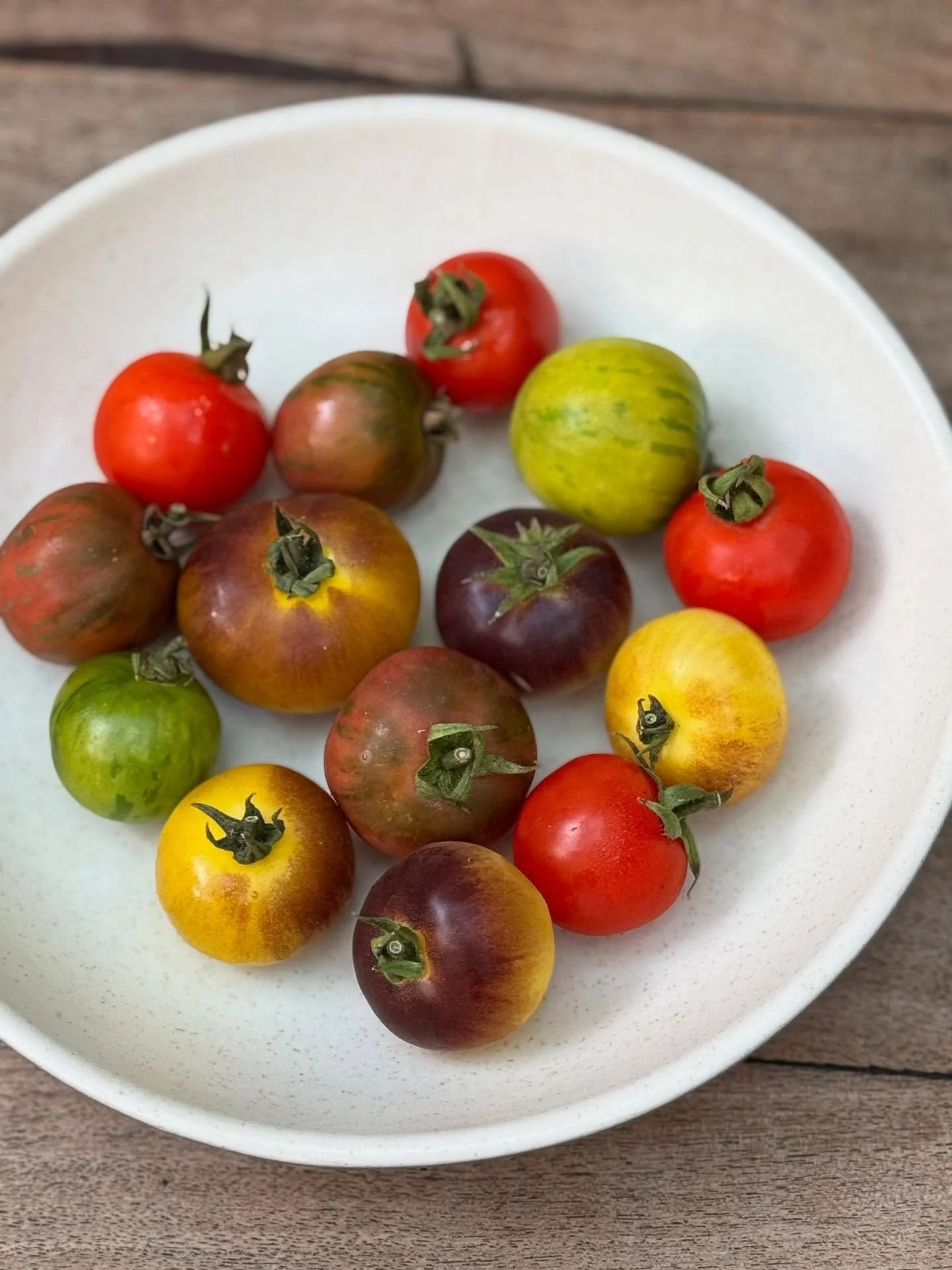 🍅 &iexcl;Directo del Rancho La Estrella a tu mesa!
@laestrellasma 

Esta semana nos llegaron unos jitomates espectaculares, frescos y llenos de sabor. 🌿✨
 No te pierdas el especial de fin de semana que preparamos con ellos. &iexcl;Te va a encantar!