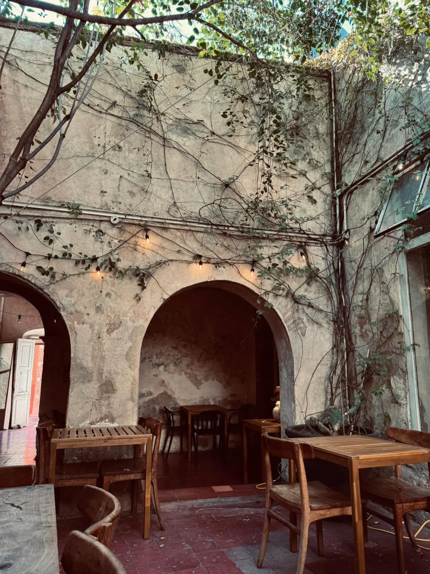 Nuestro comedor al aire libre, donde hay buena luz y sombra bajo nuestros &aacute;rboles.

Este es el momento justo antes de recibirte. Tu mesa te espera 🍕

#sanmigueldeallende #dondecomermexico