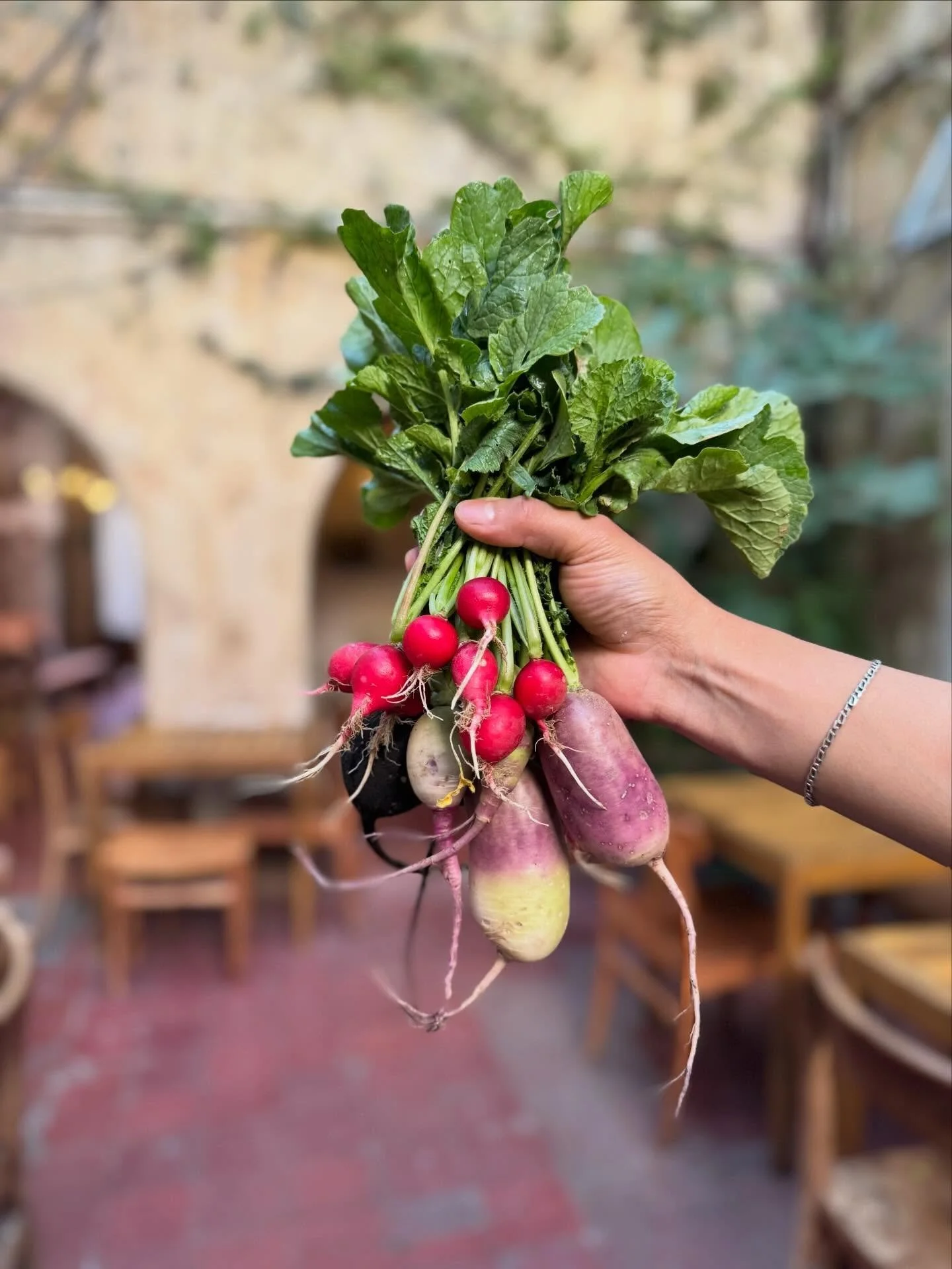 🫜Los r&aacute;banos de @laestrellasma 

Frescos, crujientes y deliciosos. 

Un ingrediente que hace la diferencia en nuestros platillos. 

Gracias 
#DelCampoALaMesa
#IngredientesConHistoria
#ProductoLocal