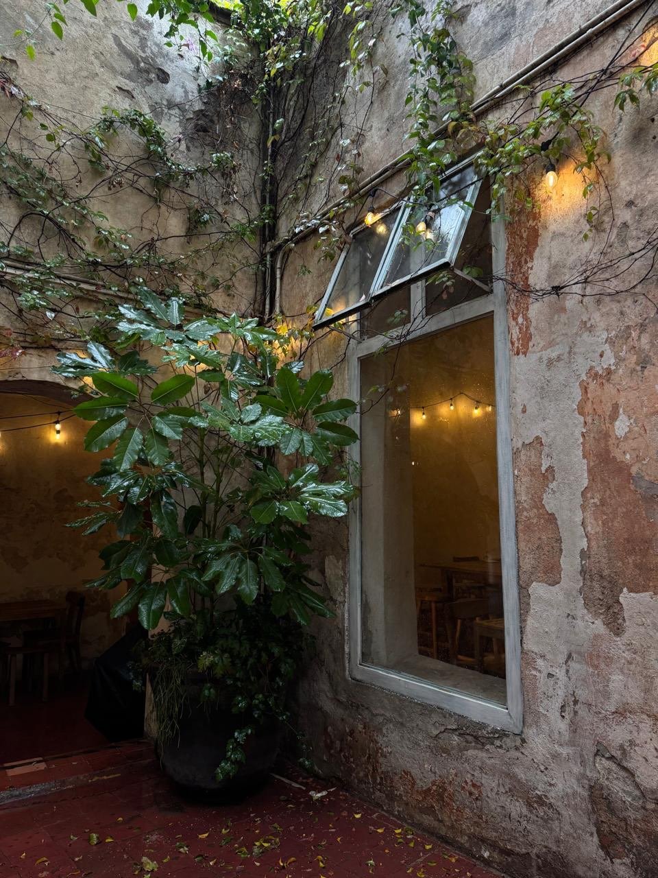 Ven a conocer nuestra mesa compartida, ideal para d&iacute;as lluviosos.

#sanmigueldeallende
#bennusma