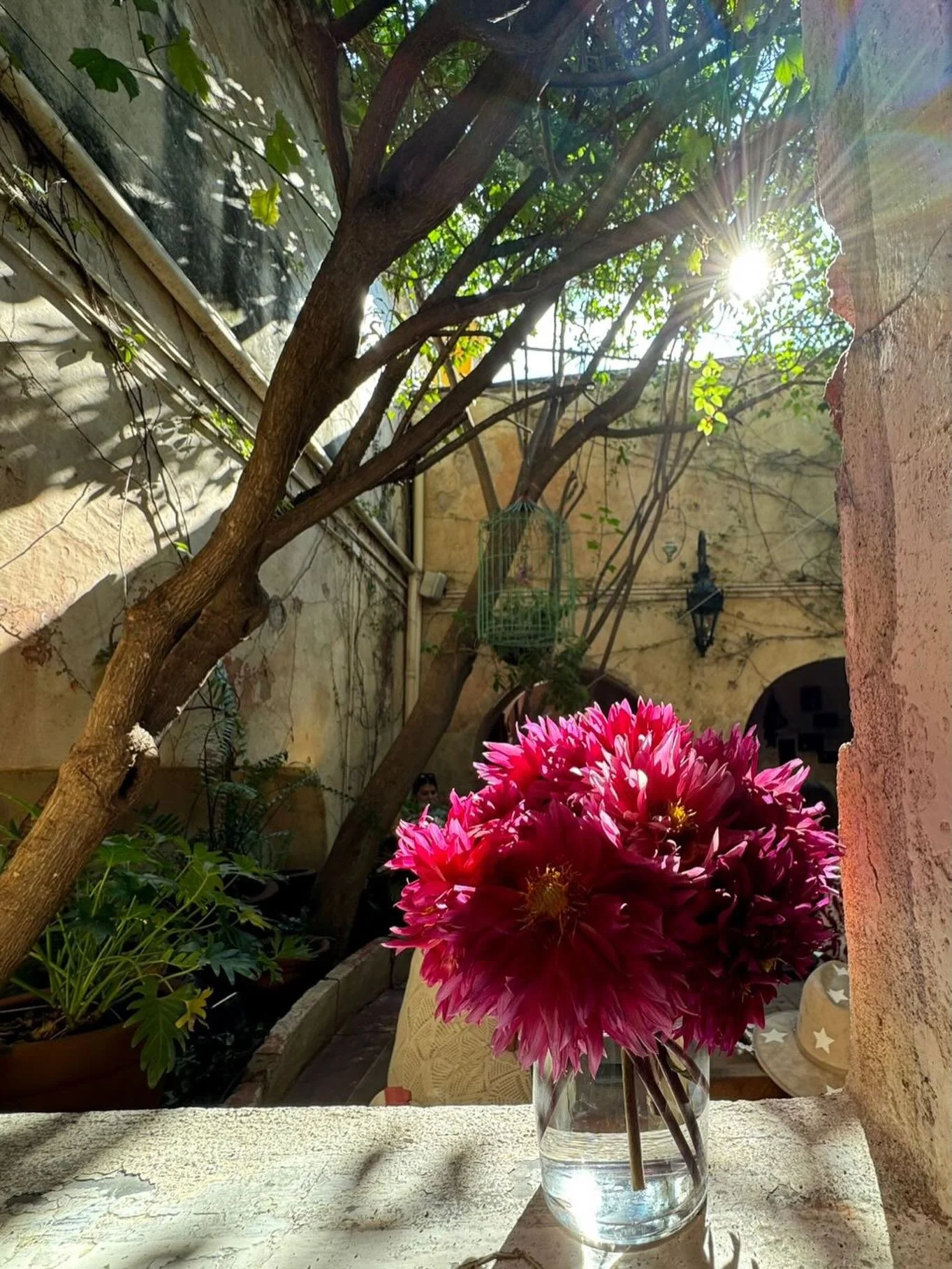 Las puertas ya est&aacute;n abiertas para recibirte esta semana. Te esperamos. ☀️ 
#SanMiguelDeAllende  #Bennu  #RestauranteSMA