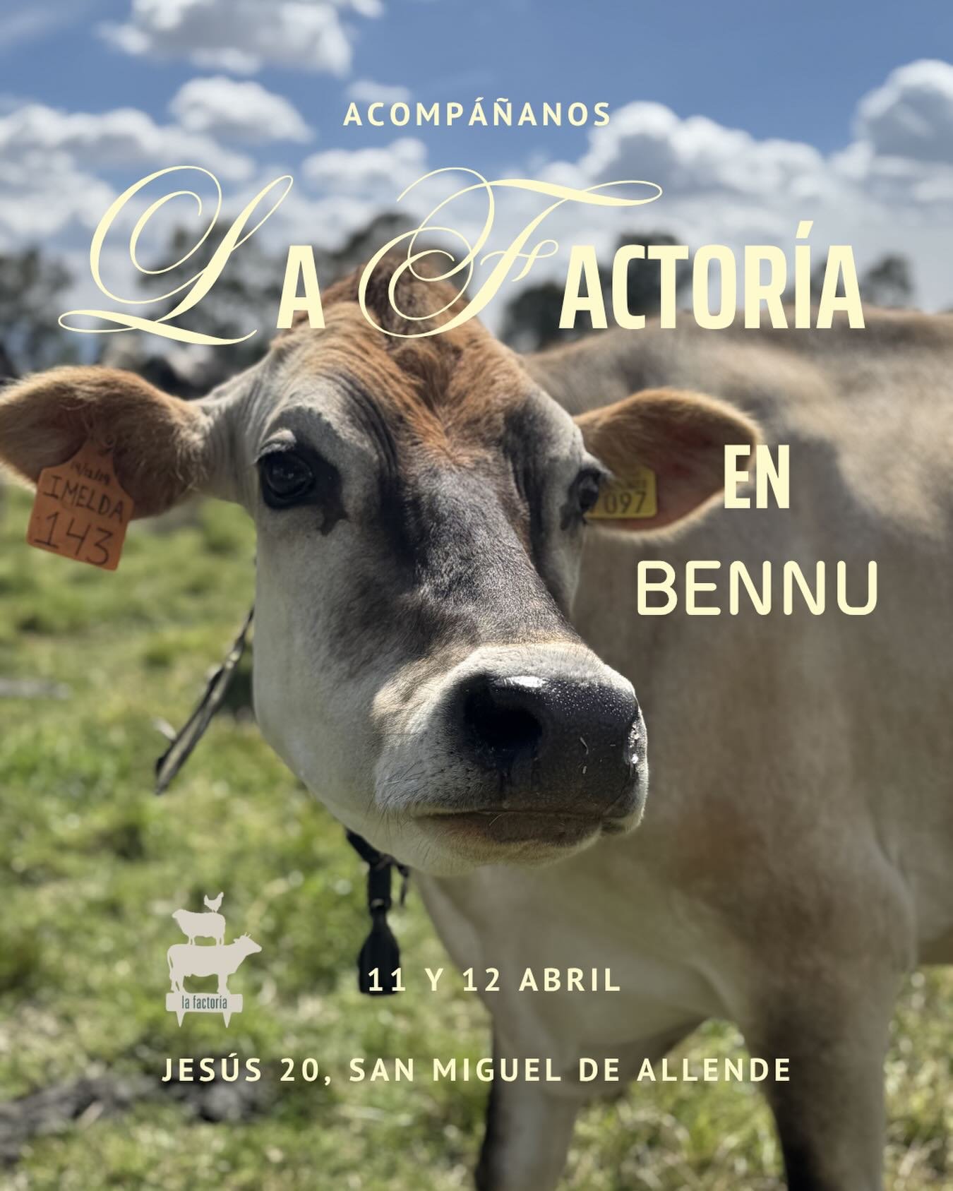 De los mejores l&aacute;cteos de la regi&oacute;n y del pa&iacute;s llegan a nuestra cocina.

Hay ingredientes que merecen protagonismo. Los quesos de La Factor&iacute;a &mdash; elaborados con leche de vacas A2/A2 de libre pastoreo, aqu&iacute; en la
