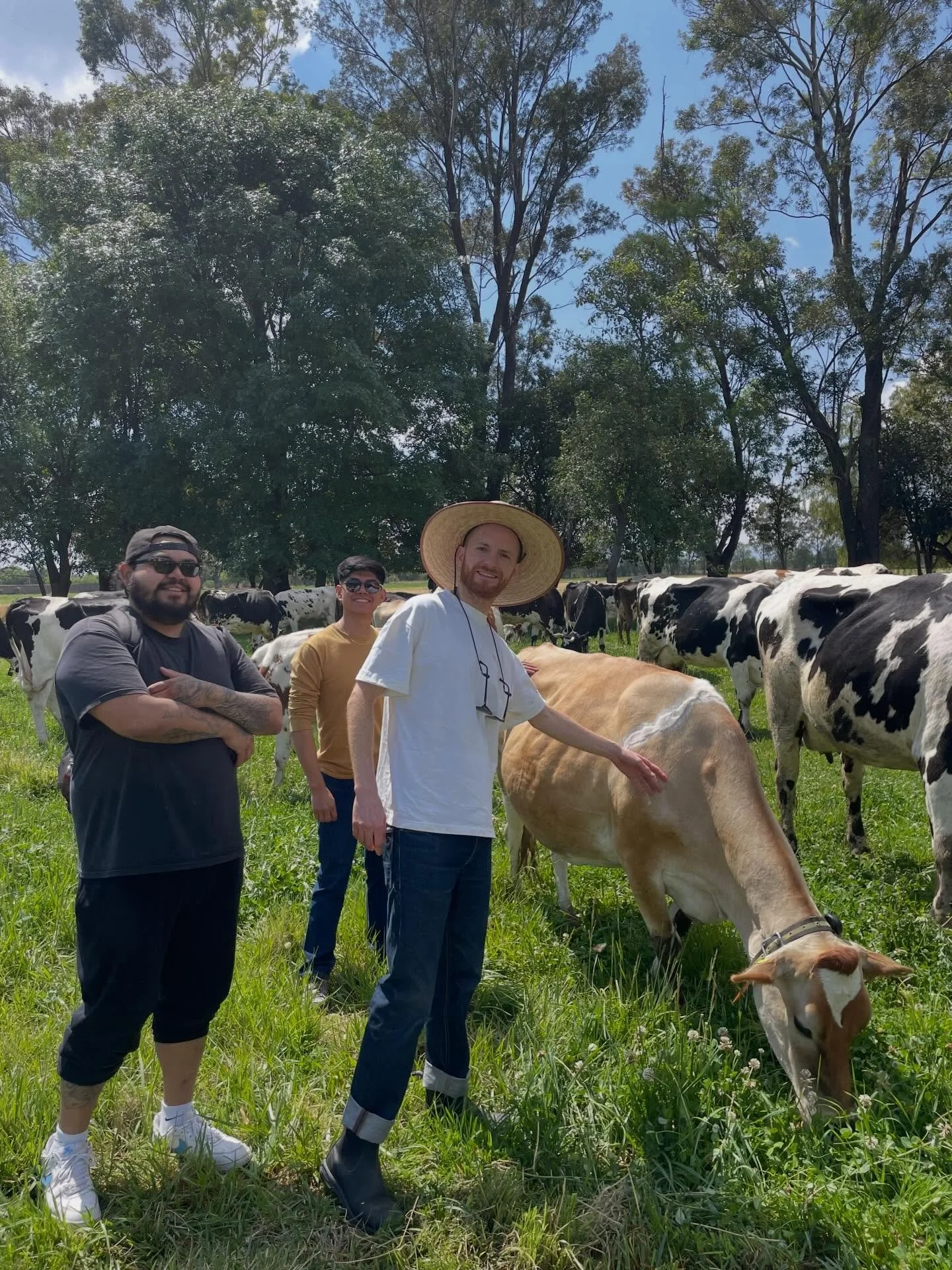 Fuimos directo a la fuente.

Esta semana nuestro equipo visit&oacute; a @lacteoslafactoria para conocer de cerca el origen de los l&aacute;cteos que inspirar&aacute;n nuestra cocina el 11 y 12 de abril.
Ver el campo, las vacas y el proceso cambia la 