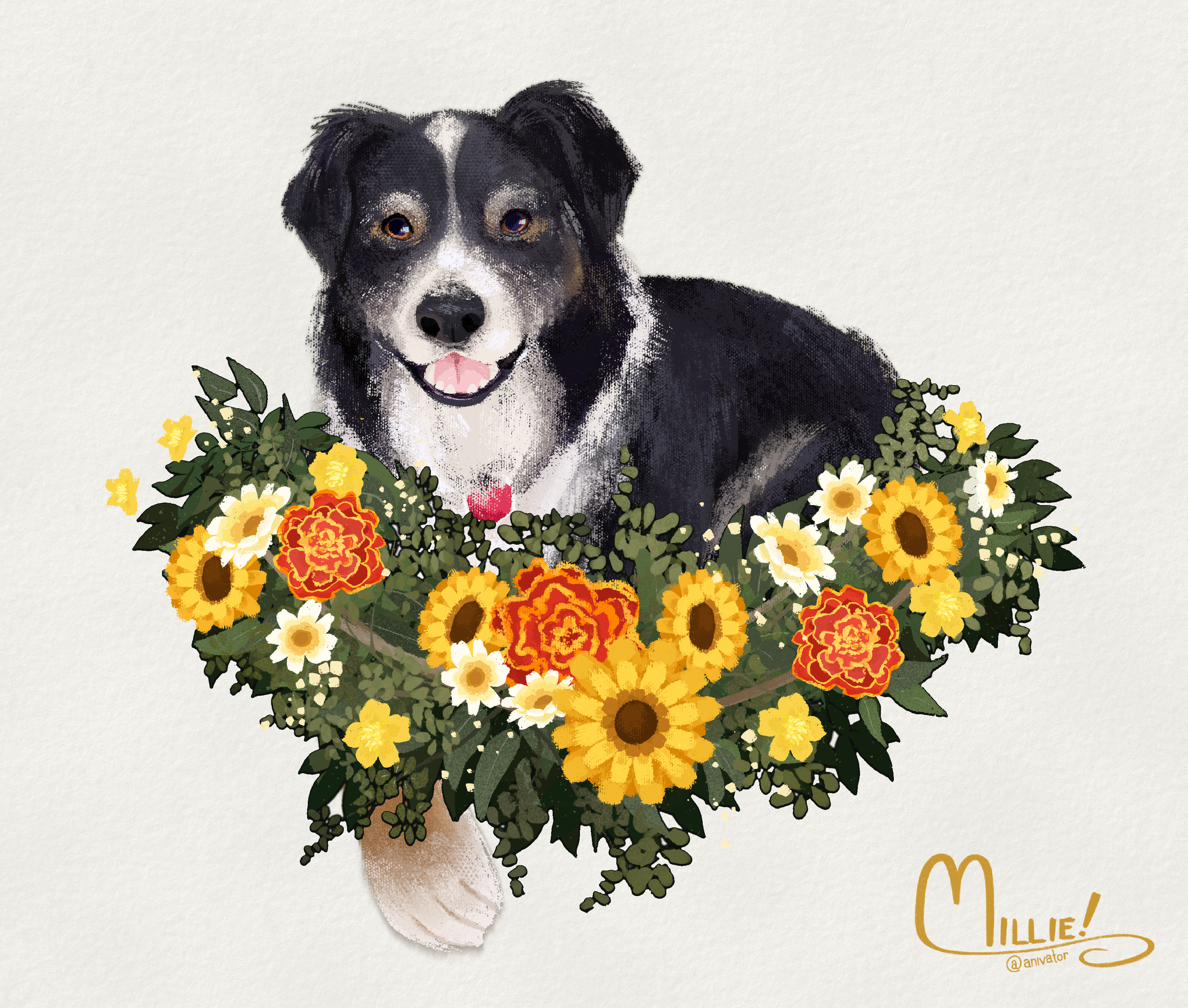 Untitled_Artwork 5.png