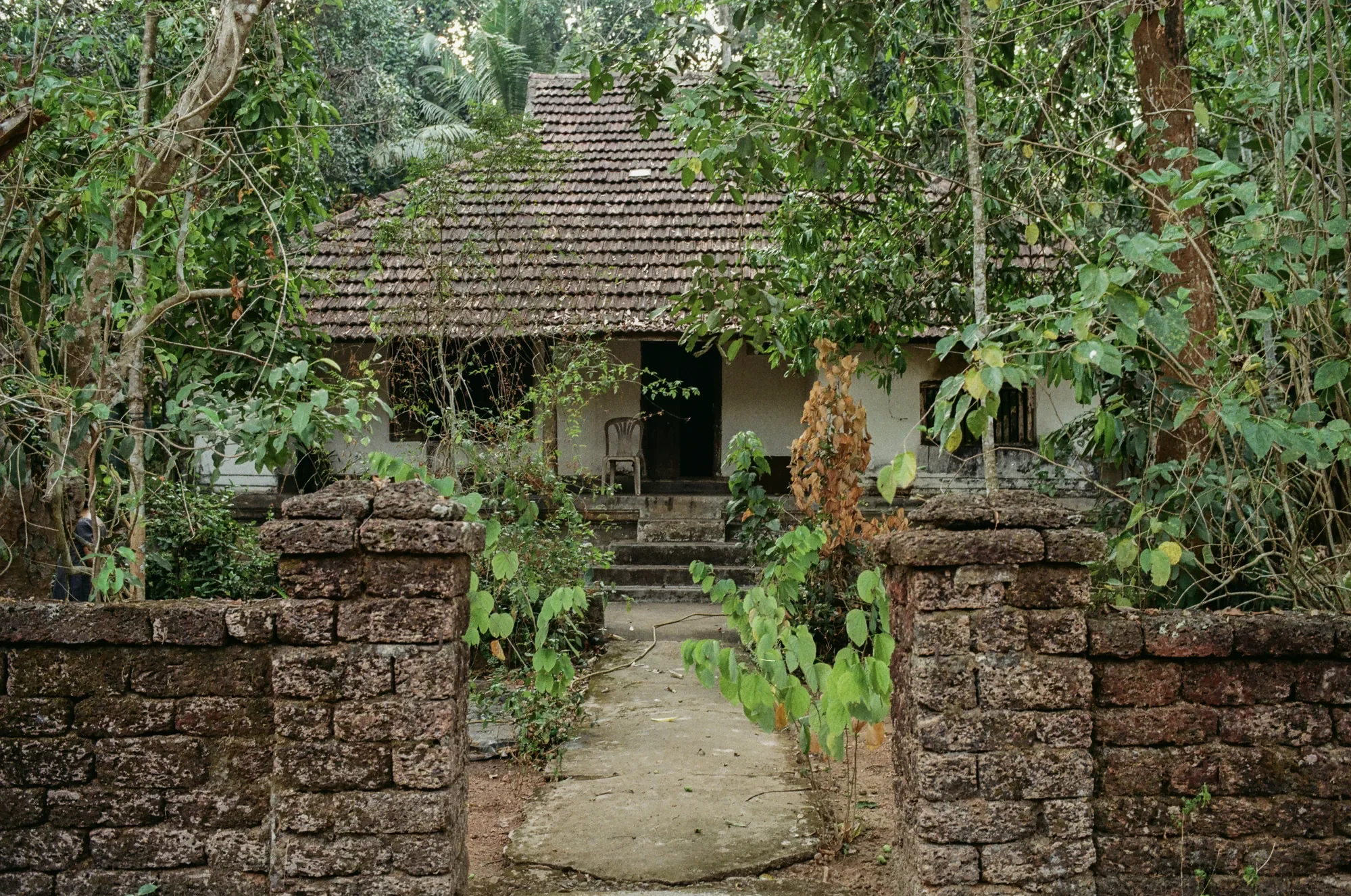 An overgrown, abandoned house with a tiled roof, white walls, and a front door. Surrounding the house are trees and bushes, with a brick fence and a concrete path leading to the entrance.